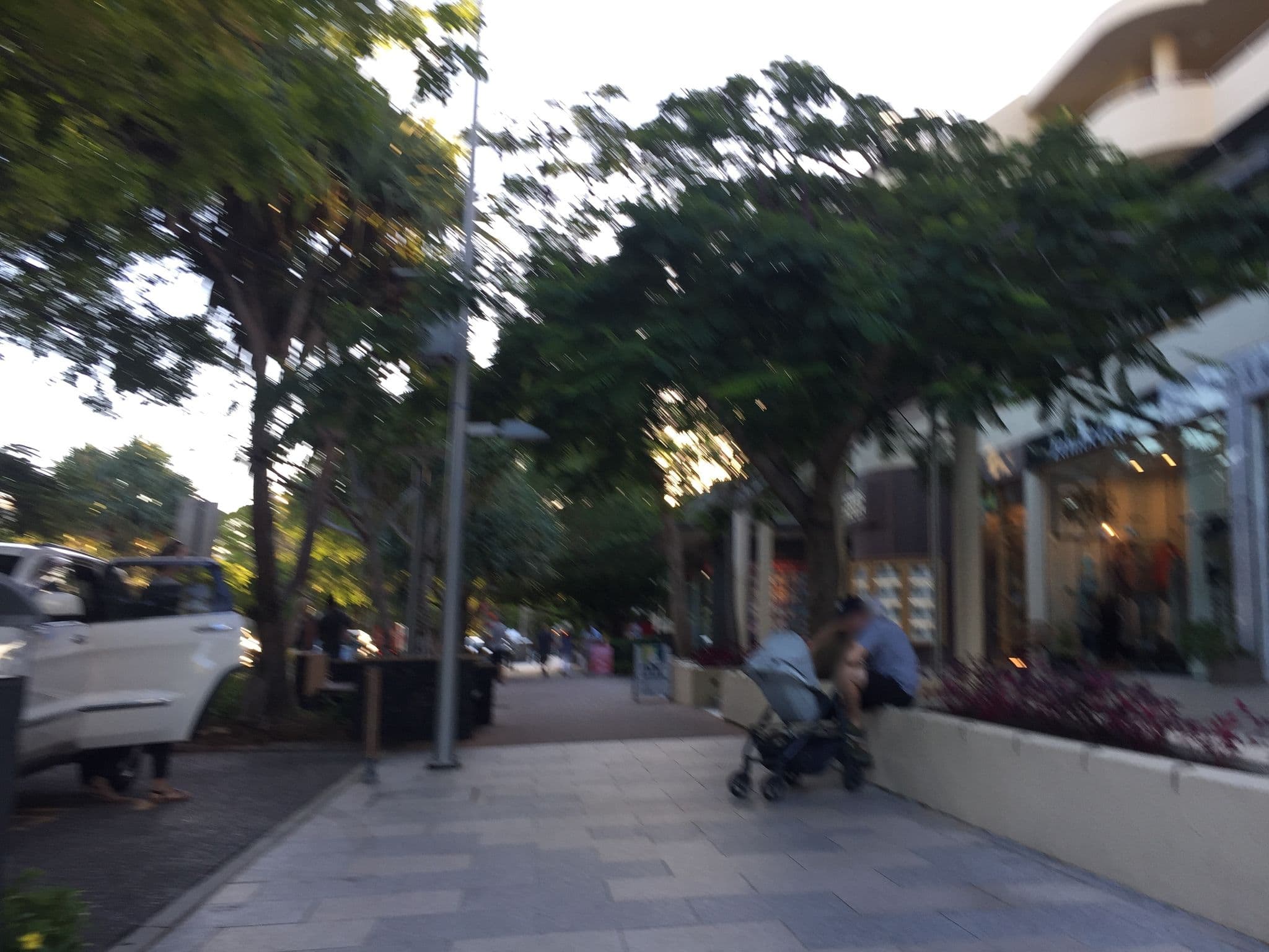 Street view near Tingirana, Noosa Heads — © vagrant42 (CC BY-SA · Mapillary)