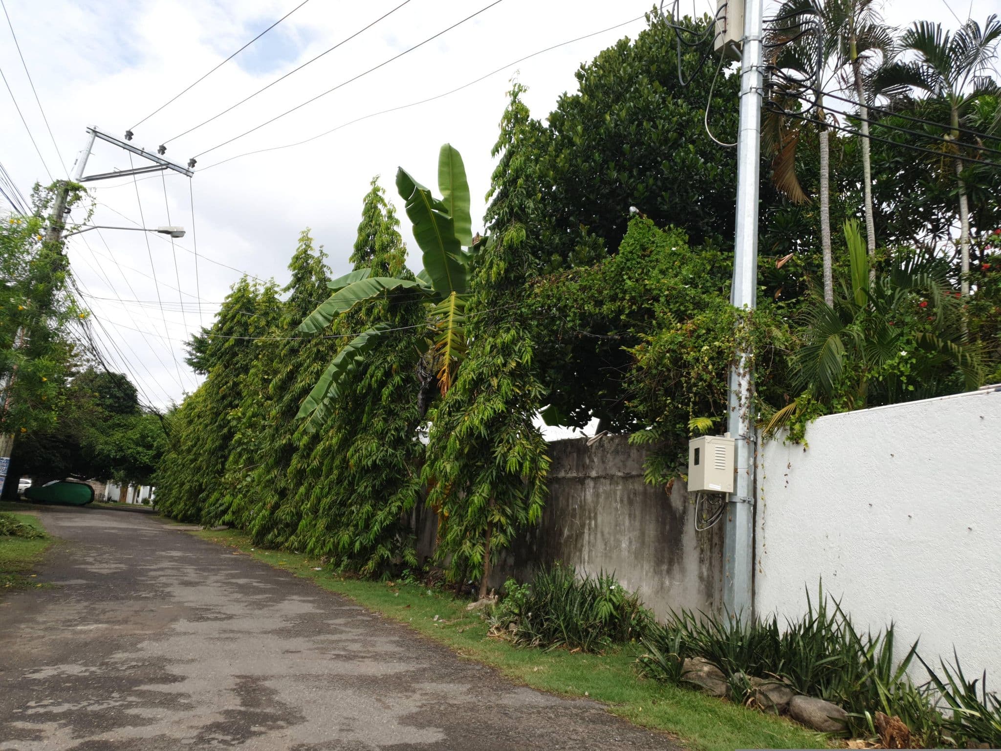 Street view near Mad Monkey Dumaguete, Dumaguete — © doodstecsonhere (CC BY-SA · Mapillary)