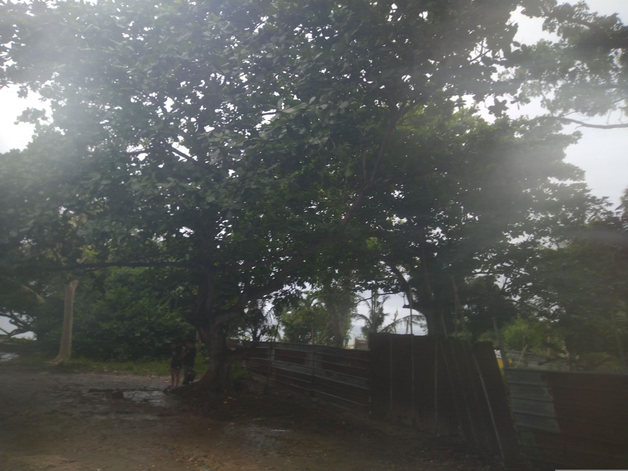 Street view near Kalipayan Beach Resort, Tawala — © Vermut (CC BY-SA · Mapillary)
