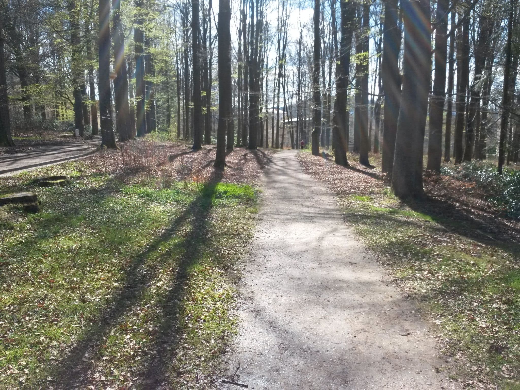 Street view near Penzion U Pramene, Mariánské Lázně — © rausk (CC BY-SA · Mapillary)