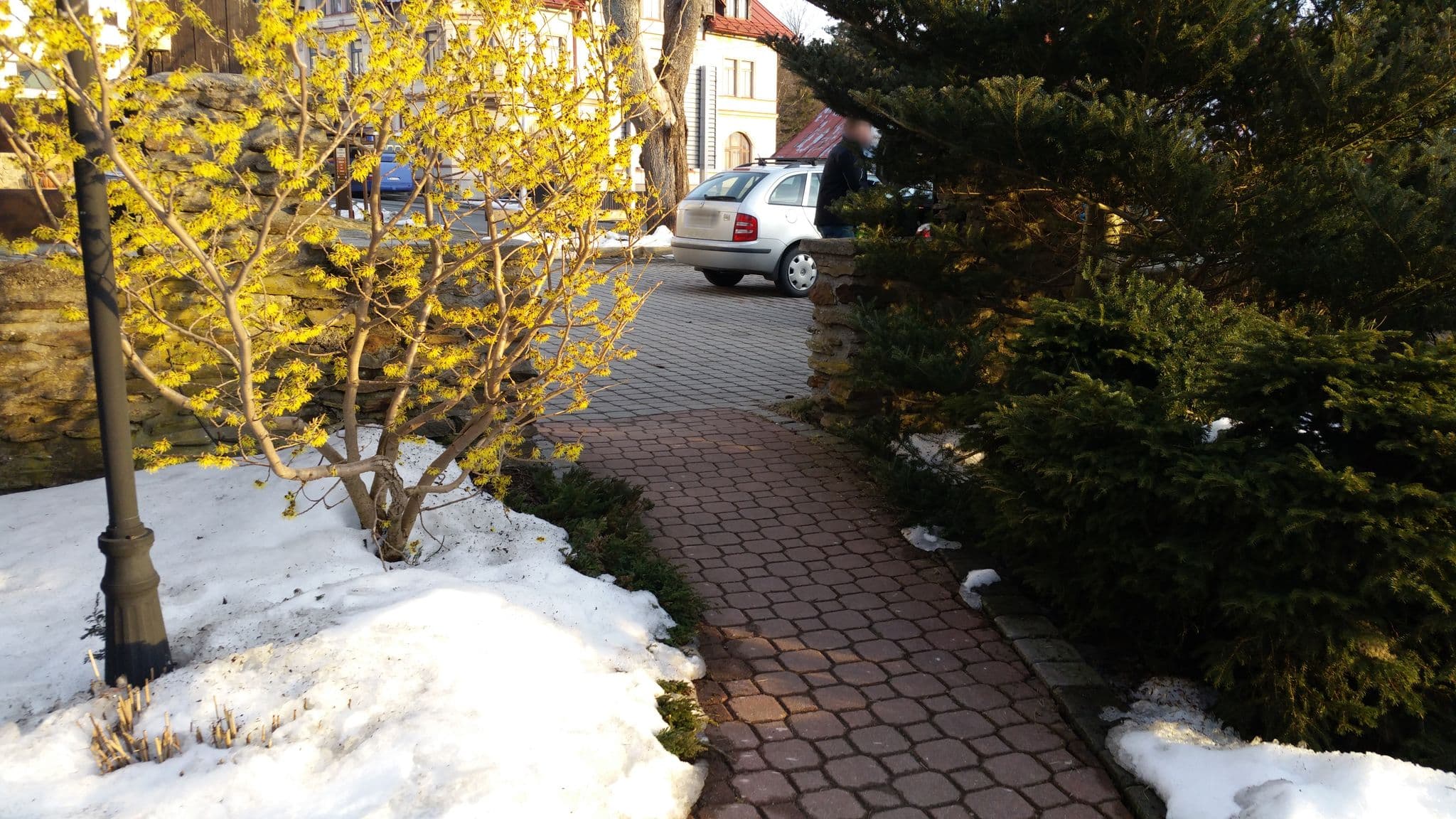 Street view near U Jelena, Železná Ruda — © czmrtn (CC BY-SA · Mapillary)