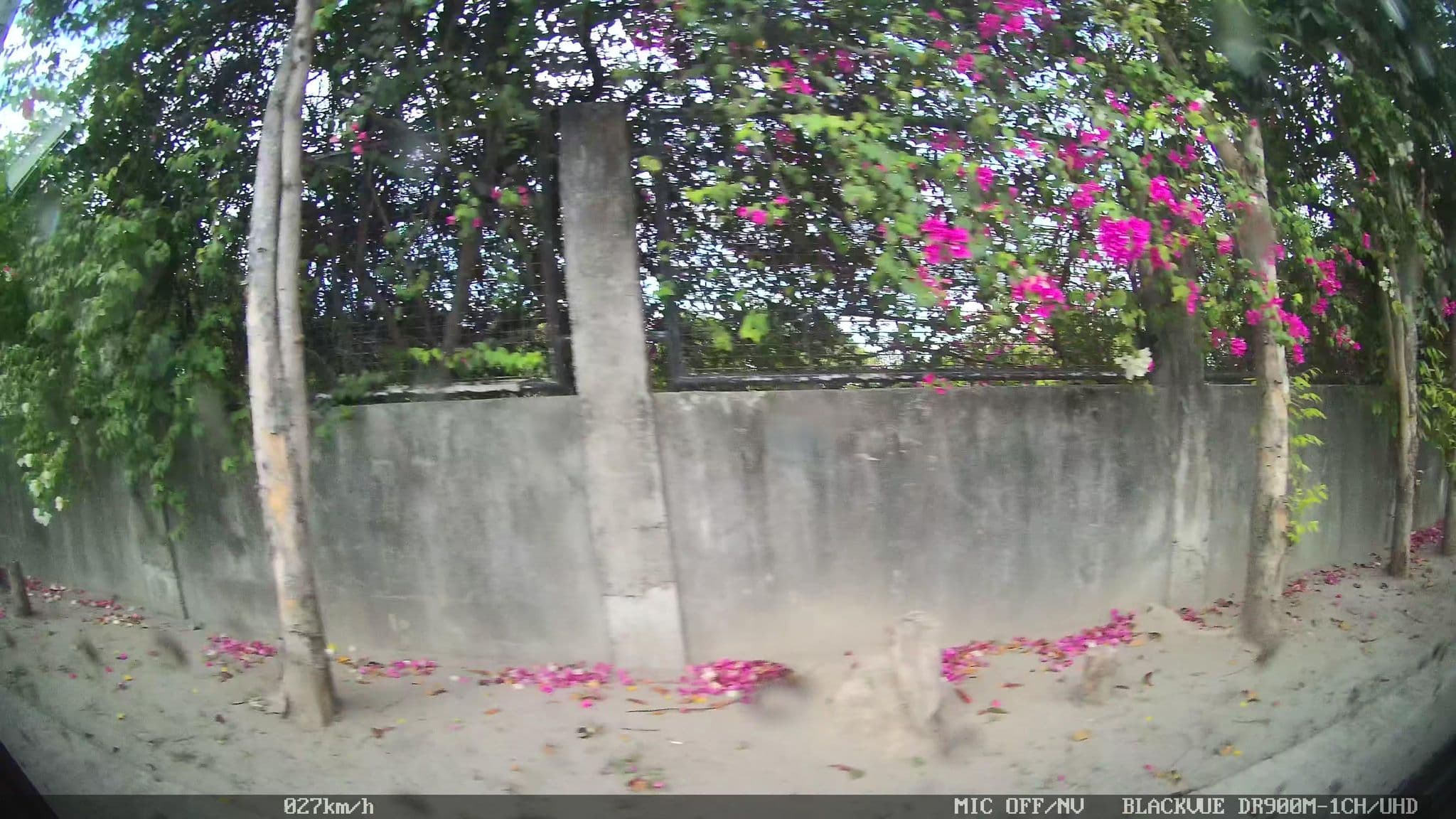 Street view near Andreyanna’s Resort, Magliman — © kaart_2 (CC BY-SA · Mapillary)