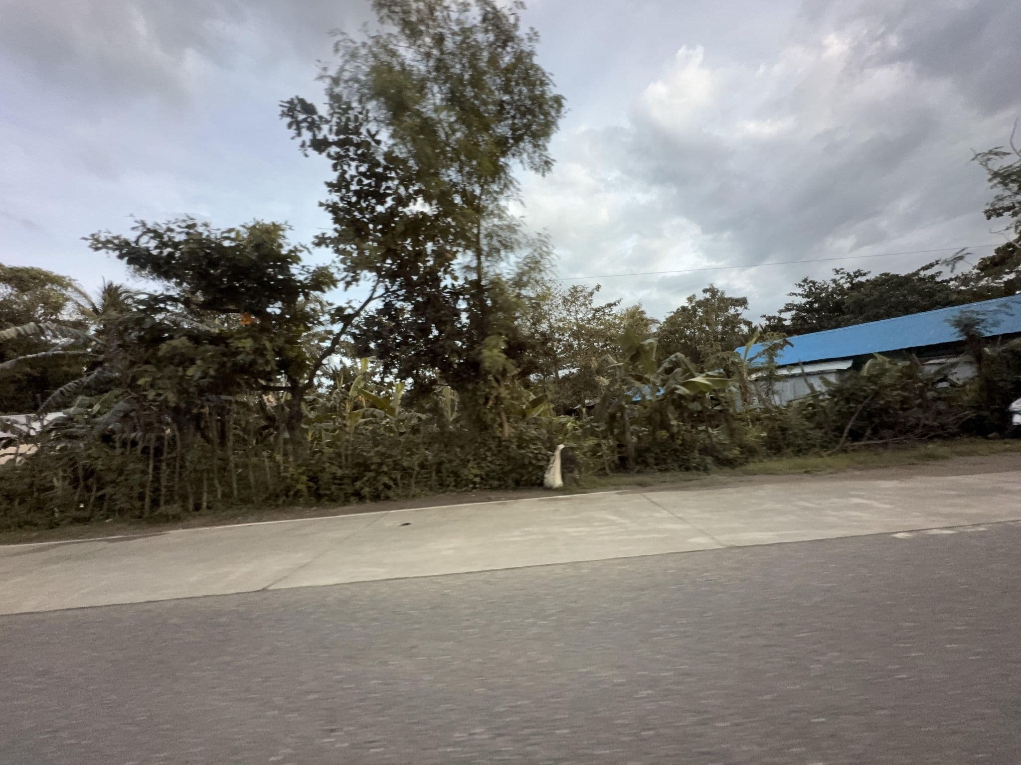 Street view near Hotel Saint Chick, Caticlan — © filipb (CC BY-SA · Mapillary)