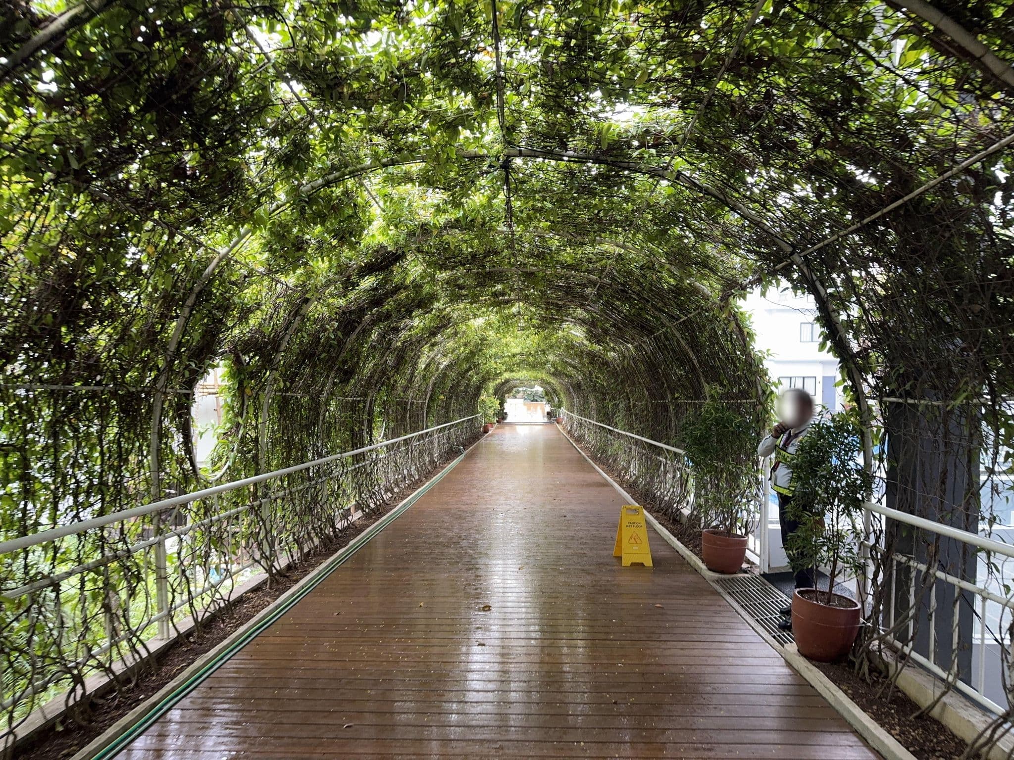Street view near Pinnacle, Balabag — © filipb (CC BY-SA · Mapillary)