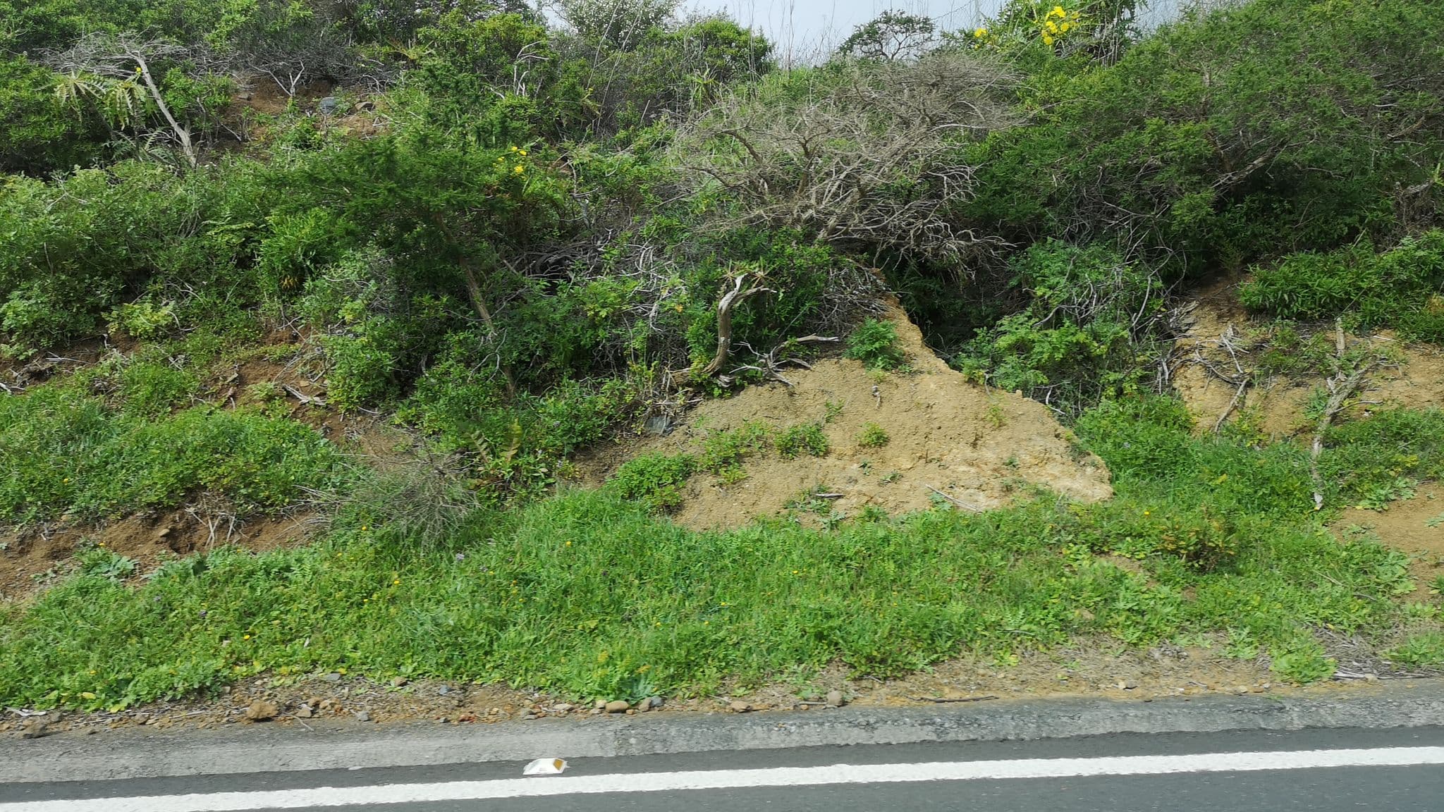 Street view near Liligomera, Alajeró — © esario (CC BY-SA · Mapillary)