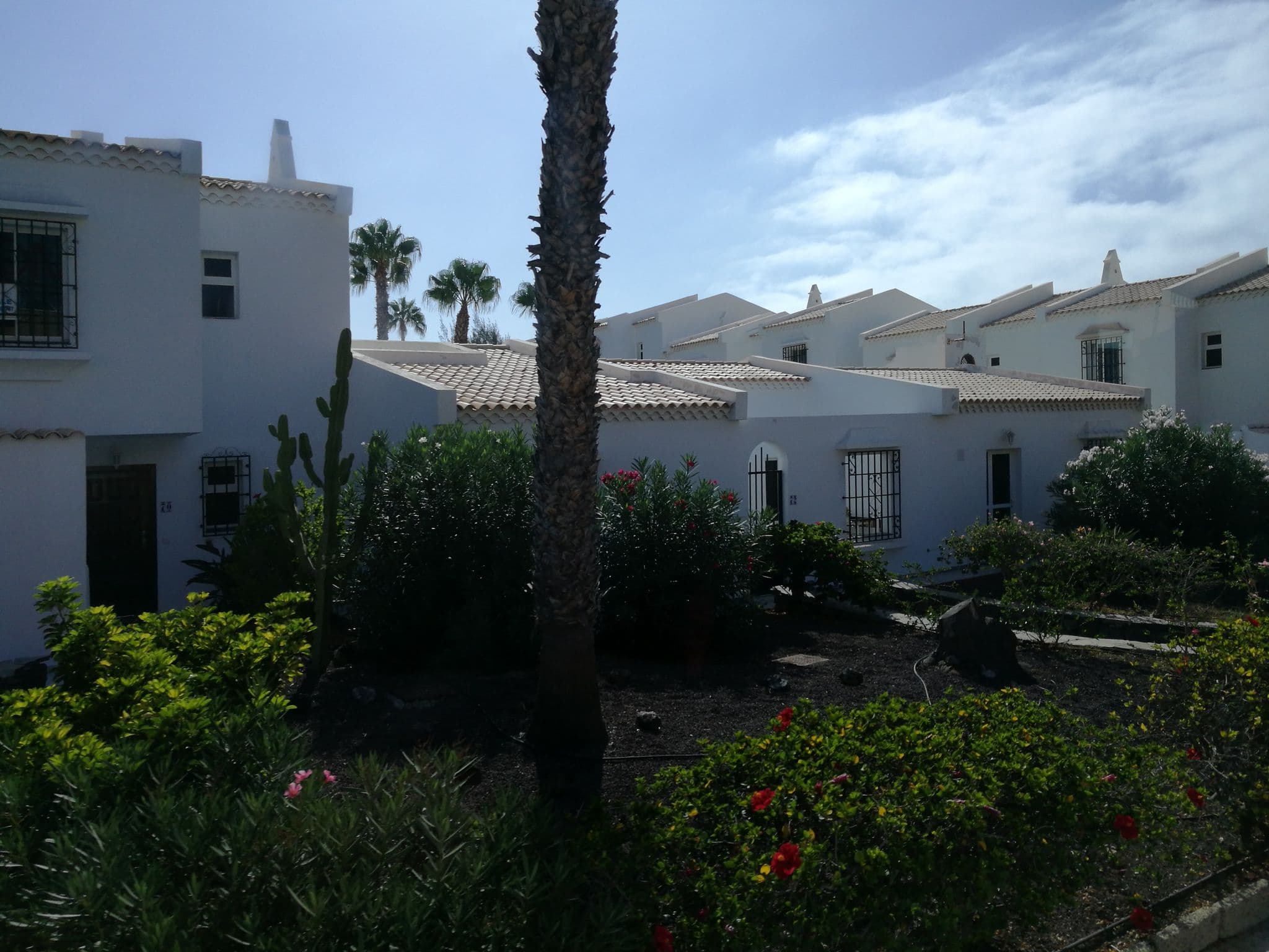 Street view near Hotel Cordial Golf Plaza, Las Rosas — © rsandu (CC BY-SA · Mapillary)