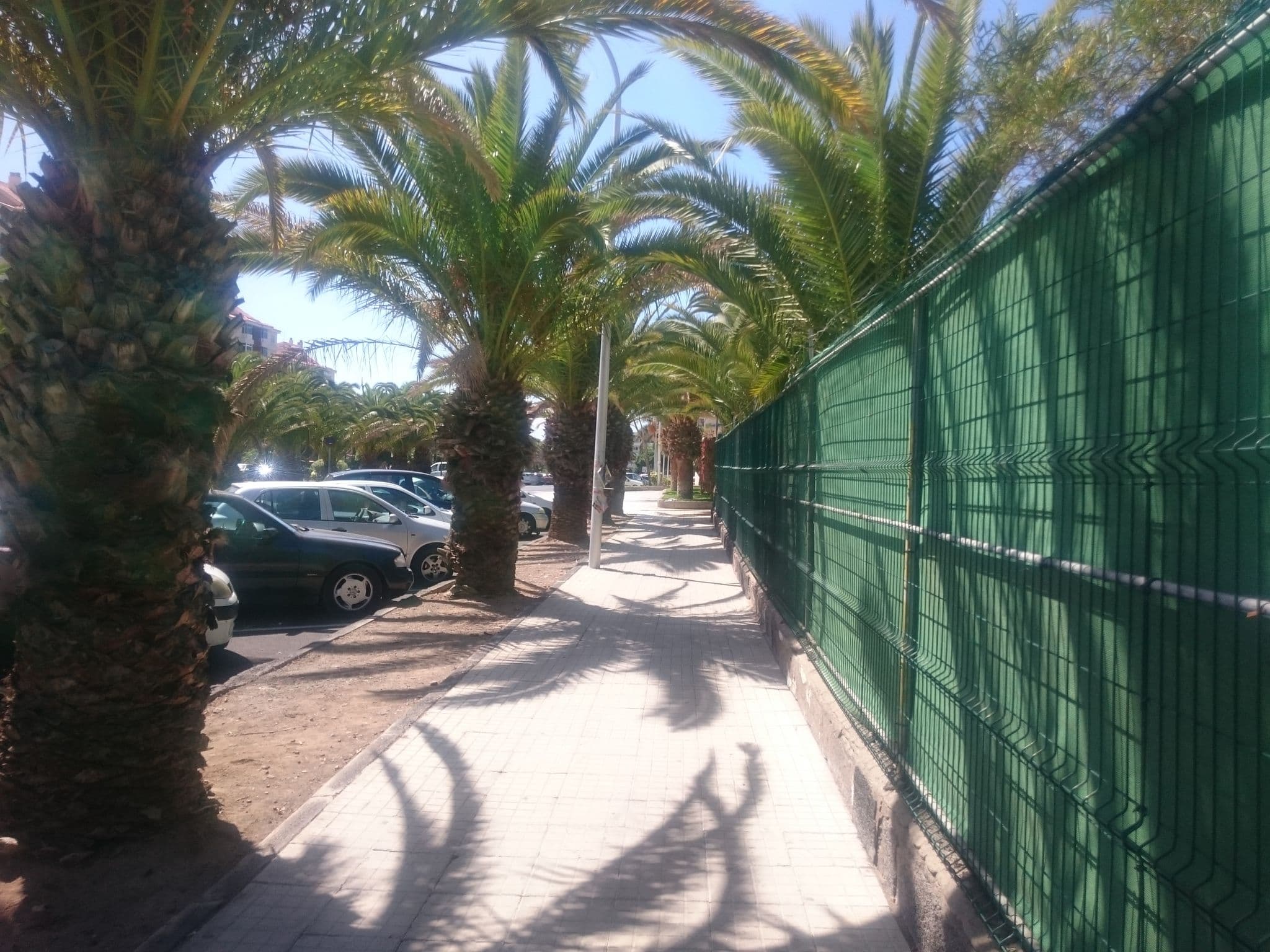 Street view near Apartamentos Plataneras Hotel Tenerife, Playa de las Américas — © ufepuf (CC BY-SA · Mapillary)