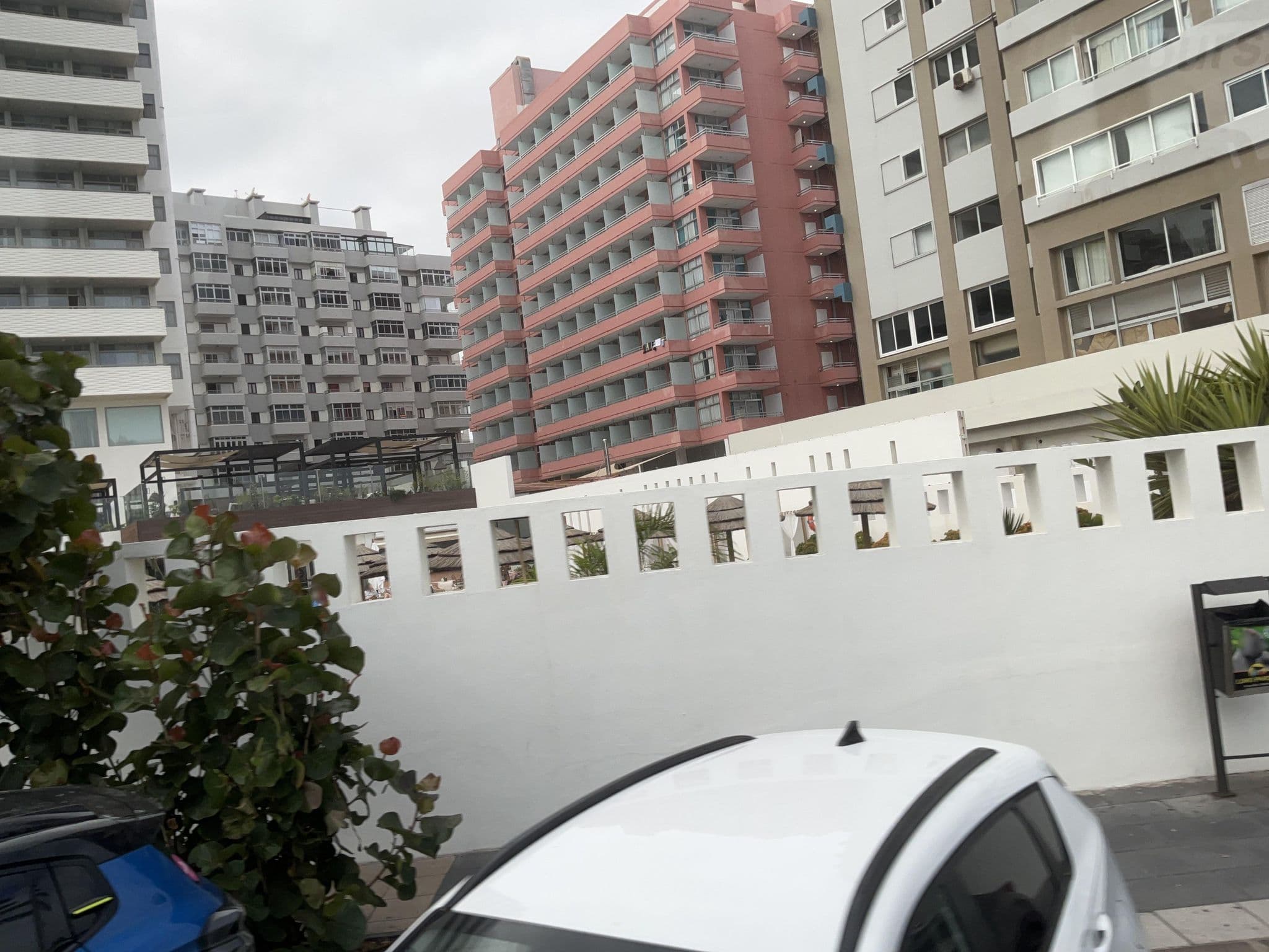 Street view near Hotel Costa Del Sol, Puerto de la Cruz — © tasmaniadevil (CC BY-SA · Mapillary)