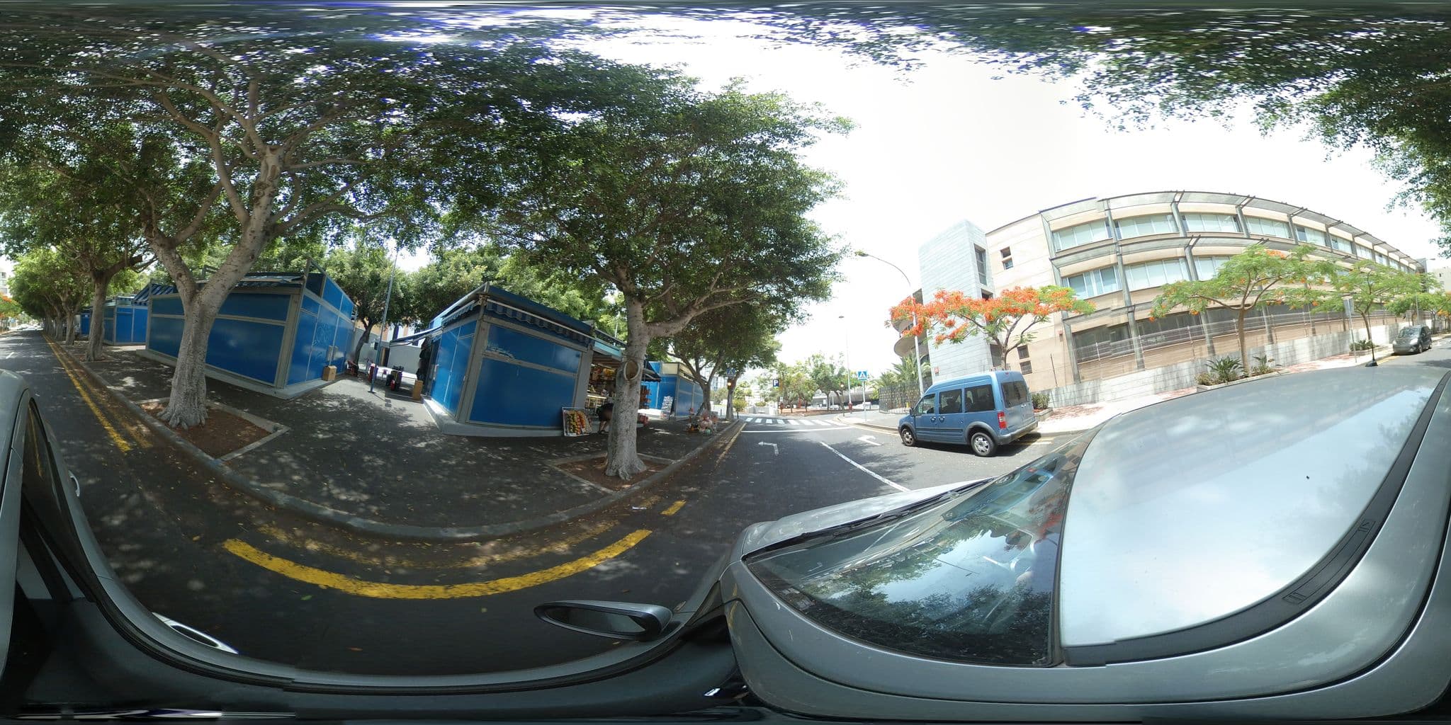 Street view near Santa Cruz, Santa Cruz de Tenerife — © javiersanp (CC BY-SA · Mapillary)