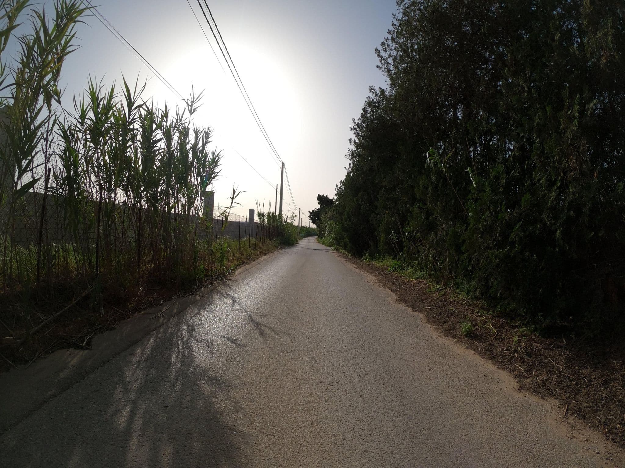 Street view near Conil Sur Alquila, Conil de la Frontera — © Langfahrer (CC BY-SA · Mapillary)