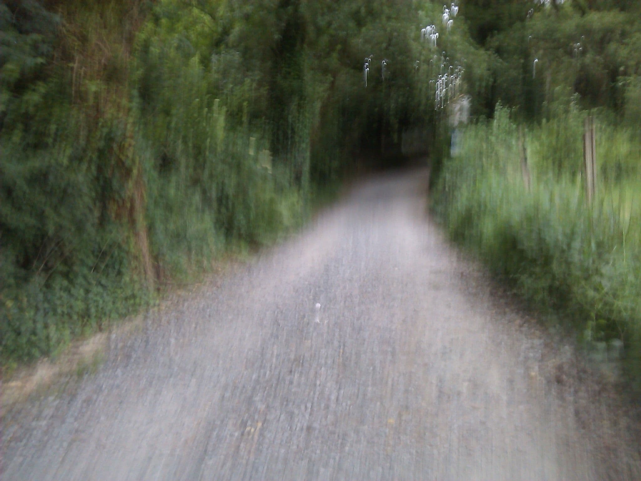 Street view near Albergue Via Lactea, Arzúa — © changchun1 (CC BY-SA · Mapillary)