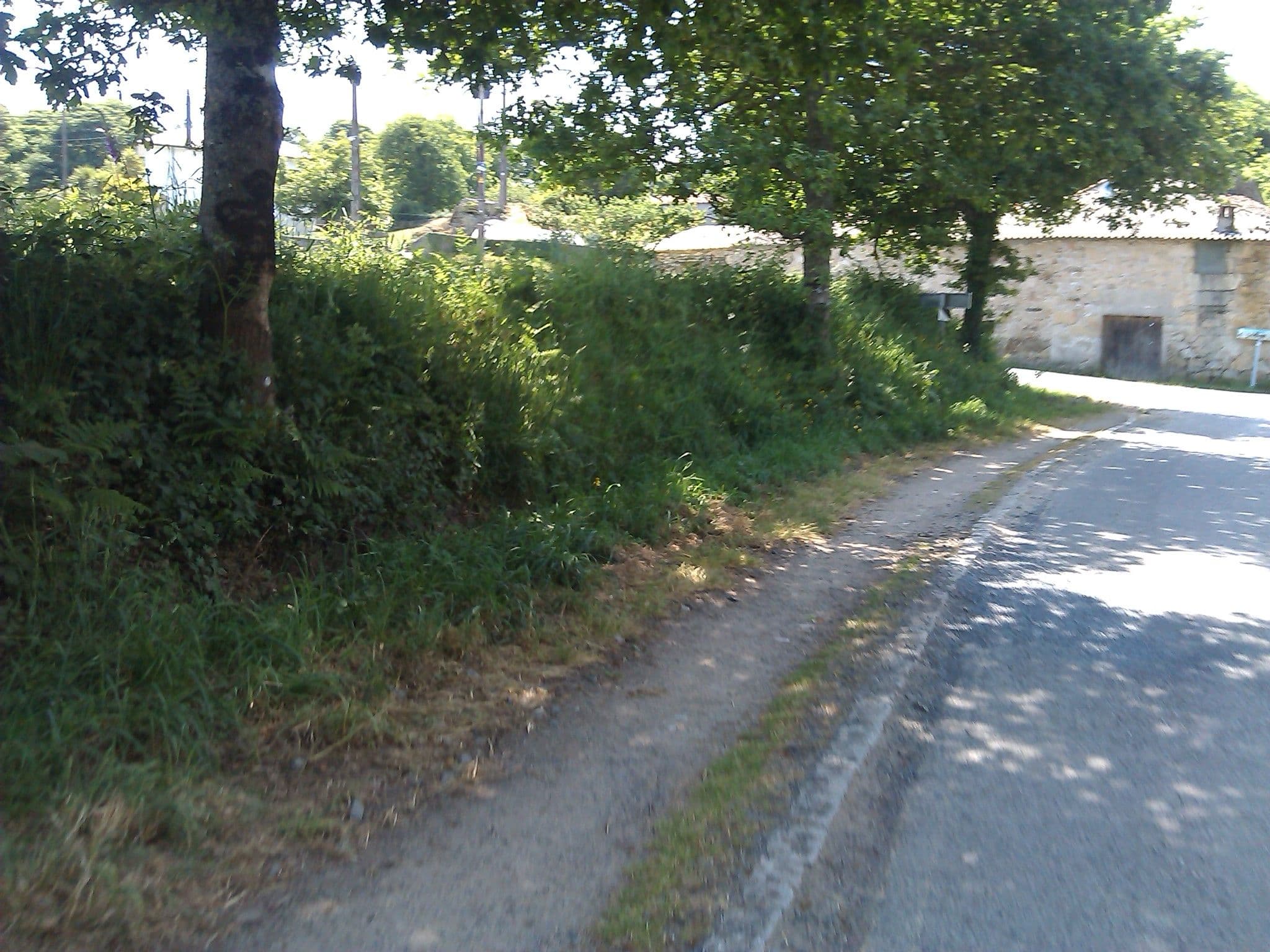 Street view near Hostería Calixtino, Monterroso — © changchun1 (CC BY-SA · Mapillary)