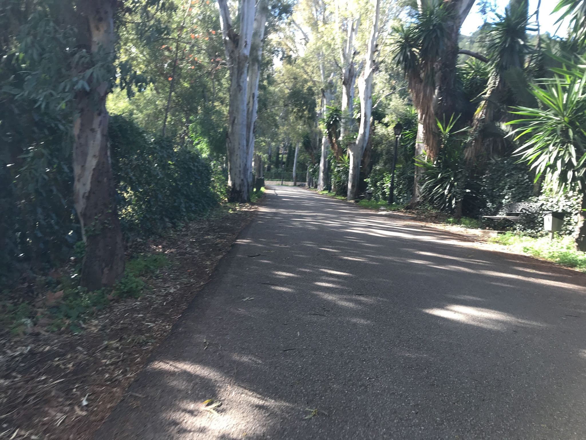 Street view near Apartamentos los Manueles, Tolox — © cmdigital (CC BY-SA · Mapillary)