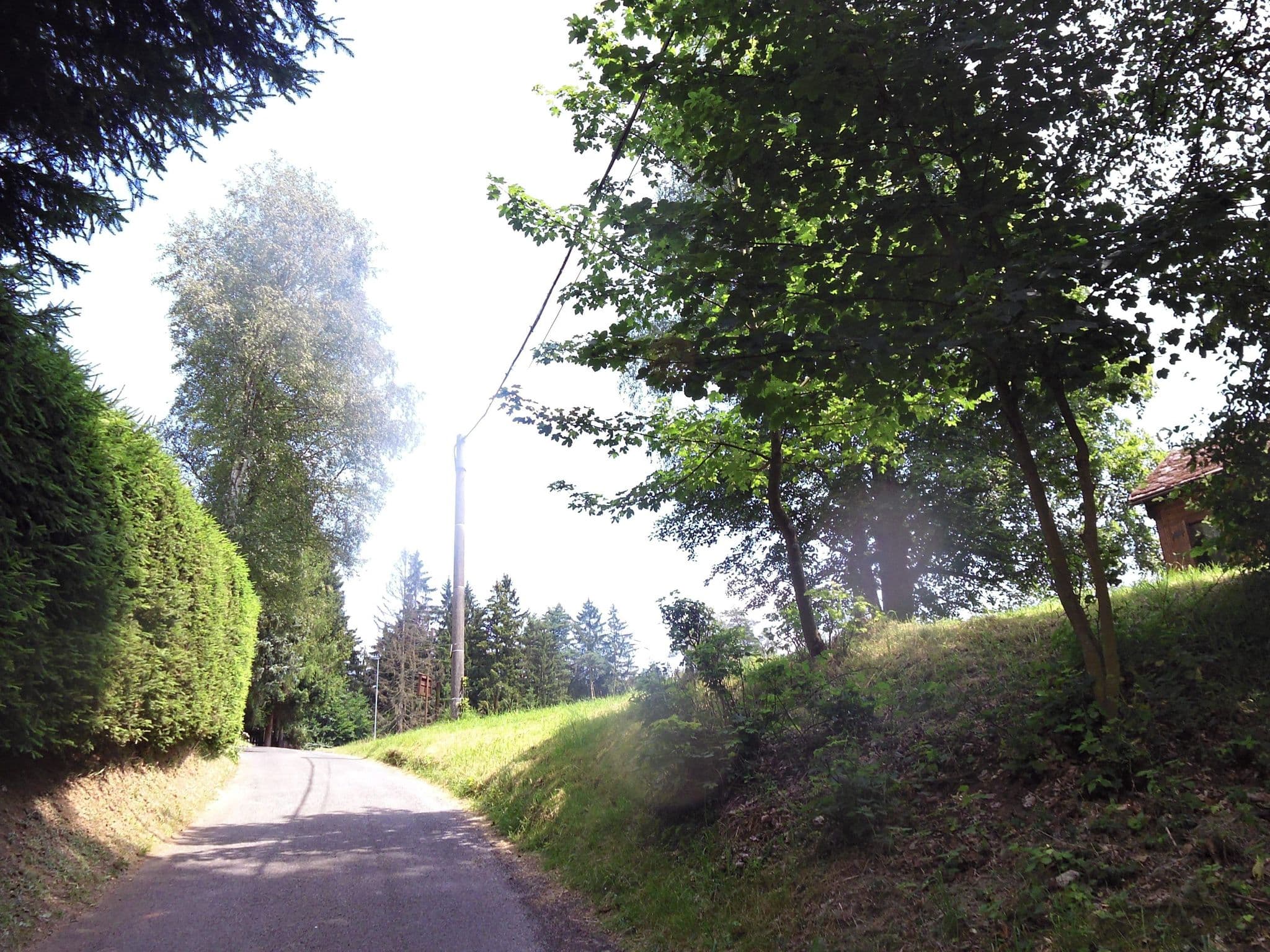 Street view near LESNÍ CHATY KYTLICE "HOGO FOGO", Chřibská — © fell3 (CC BY-SA · Mapillary)