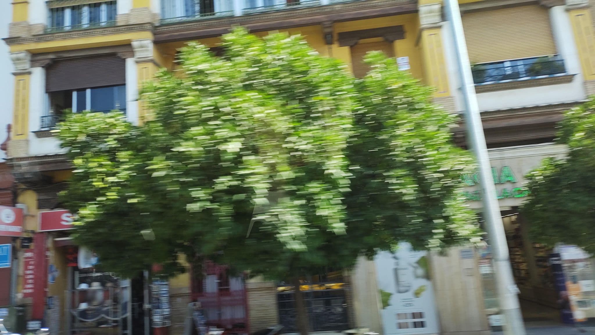 Street view near Habitación 6, Sevilla — © rsandu (CC BY-SA · Mapillary)