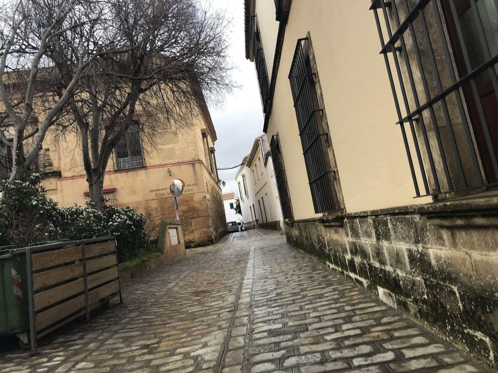 Street view near Frenteabastos, Carmona — © miguel_andrade (CC BY-SA · Mapillary)