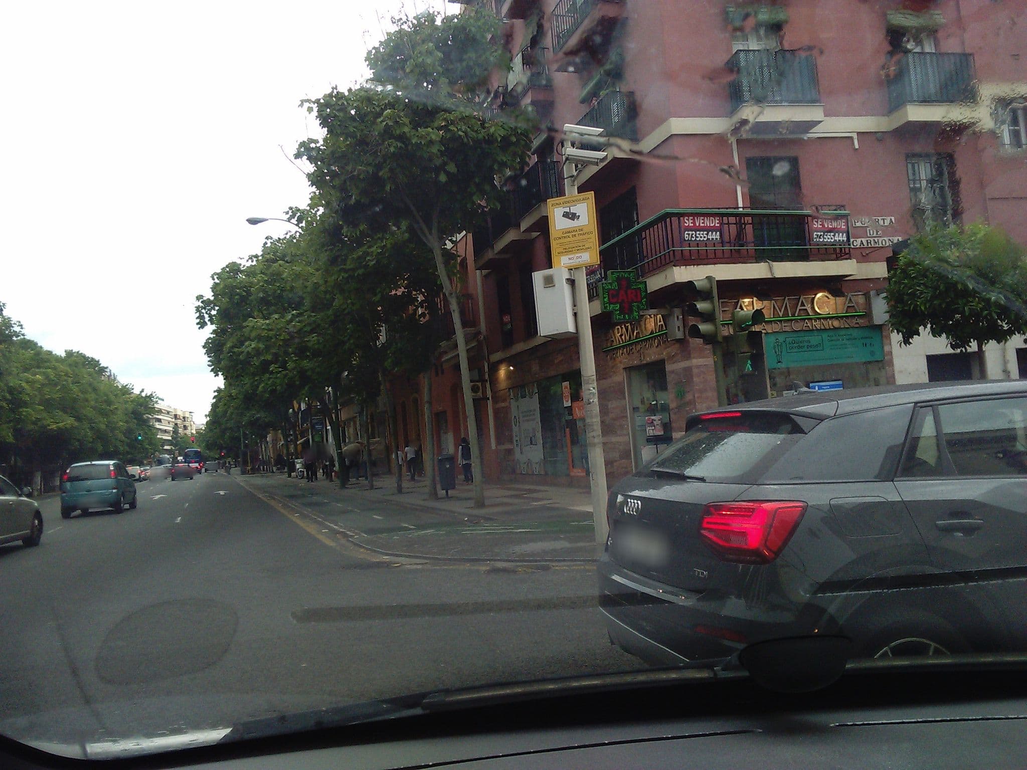 Street view near Nh Hotel, Sevilla — © cristinadc (CC BY-SA · Mapillary)