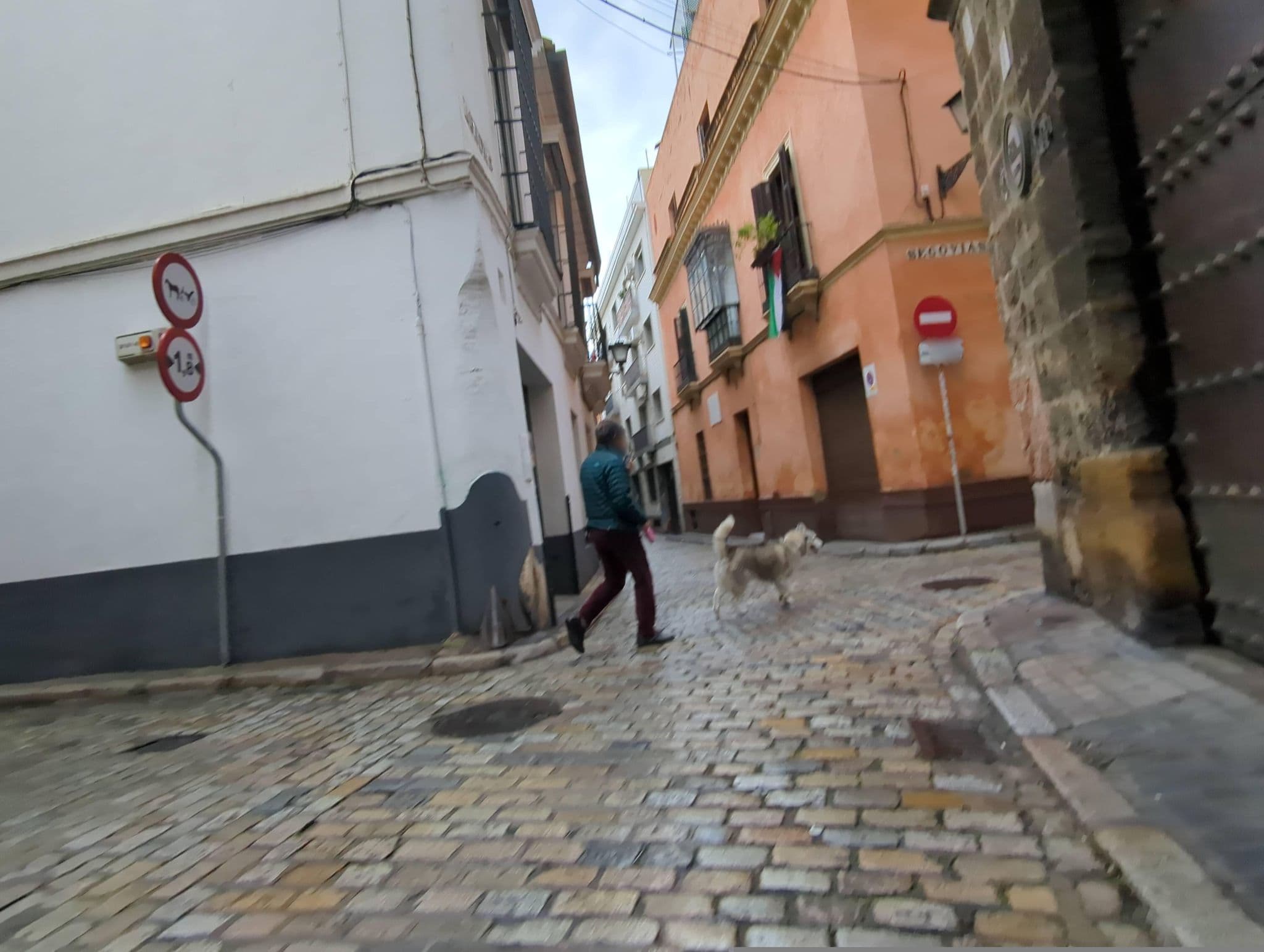 Street view near Q&Q Cathedral Suites, Sevilla — © miguel_andrade (CC BY-SA · Mapillary)