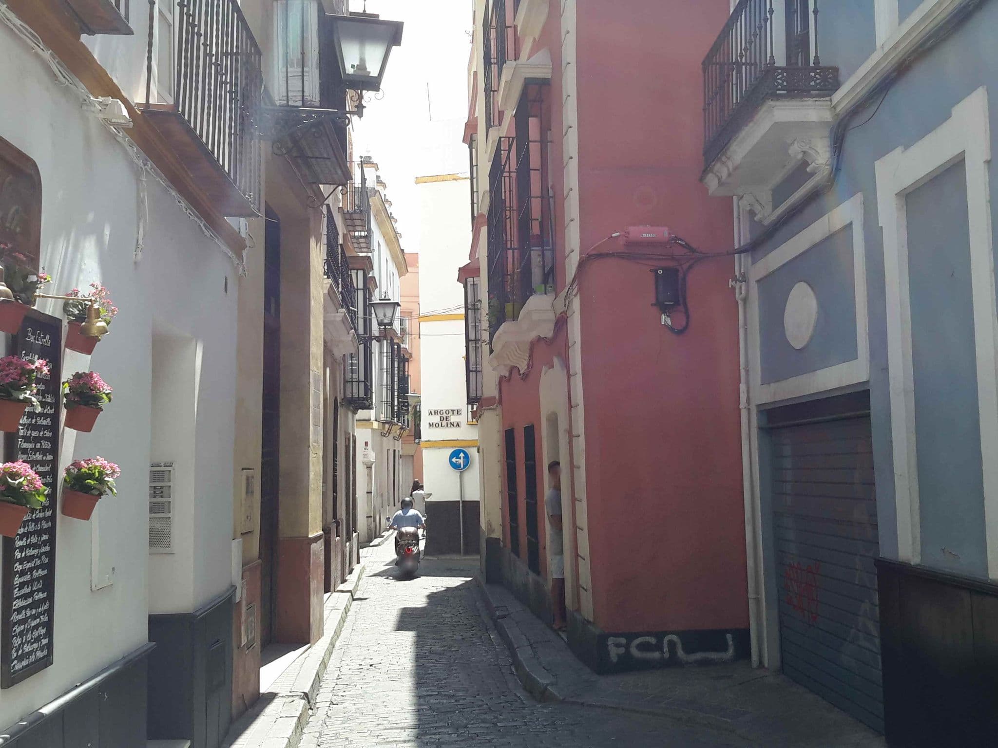 Street view near Bamberg Duplex Terrace, Sevilla — © xurxosanz (CC BY-SA · Mapillary)