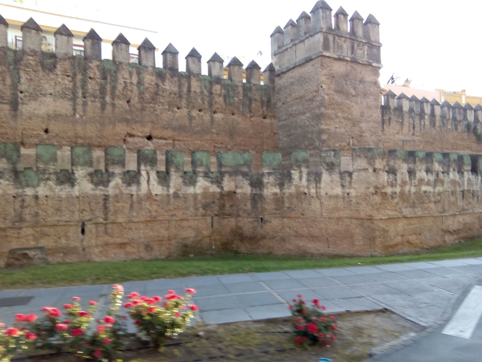 Street view near Hotel Tryp Seville Macerana, Sevilla — © anarey (CC BY-SA · Mapillary)