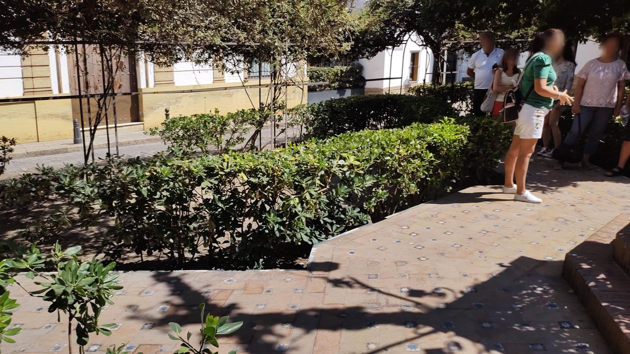 Street view near Toledo, Sevilla — © rsandu (CC BY-SA · Mapillary)