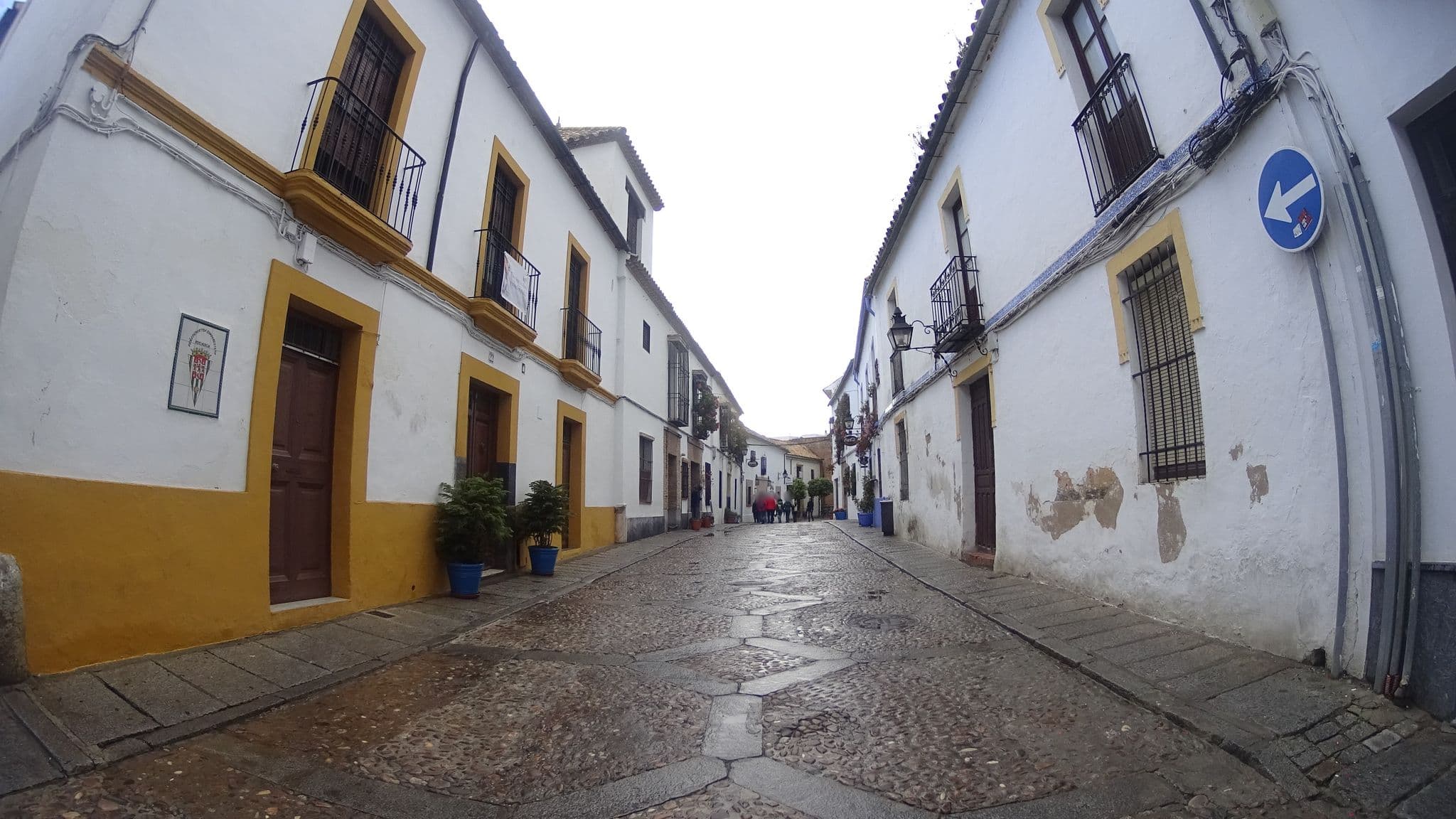 Street view near Venta Blanca, Córdoba — © robertogeb (CC BY-SA · Mapillary)