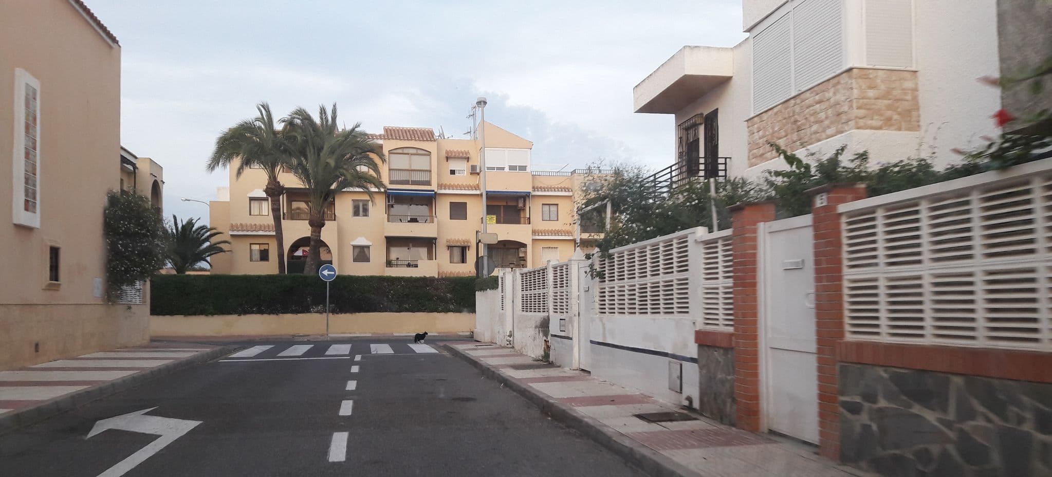 Street view near Apartamentos el Minarete, Roquetas de Mar — © teddy73 (CC BY-SA · Mapillary)