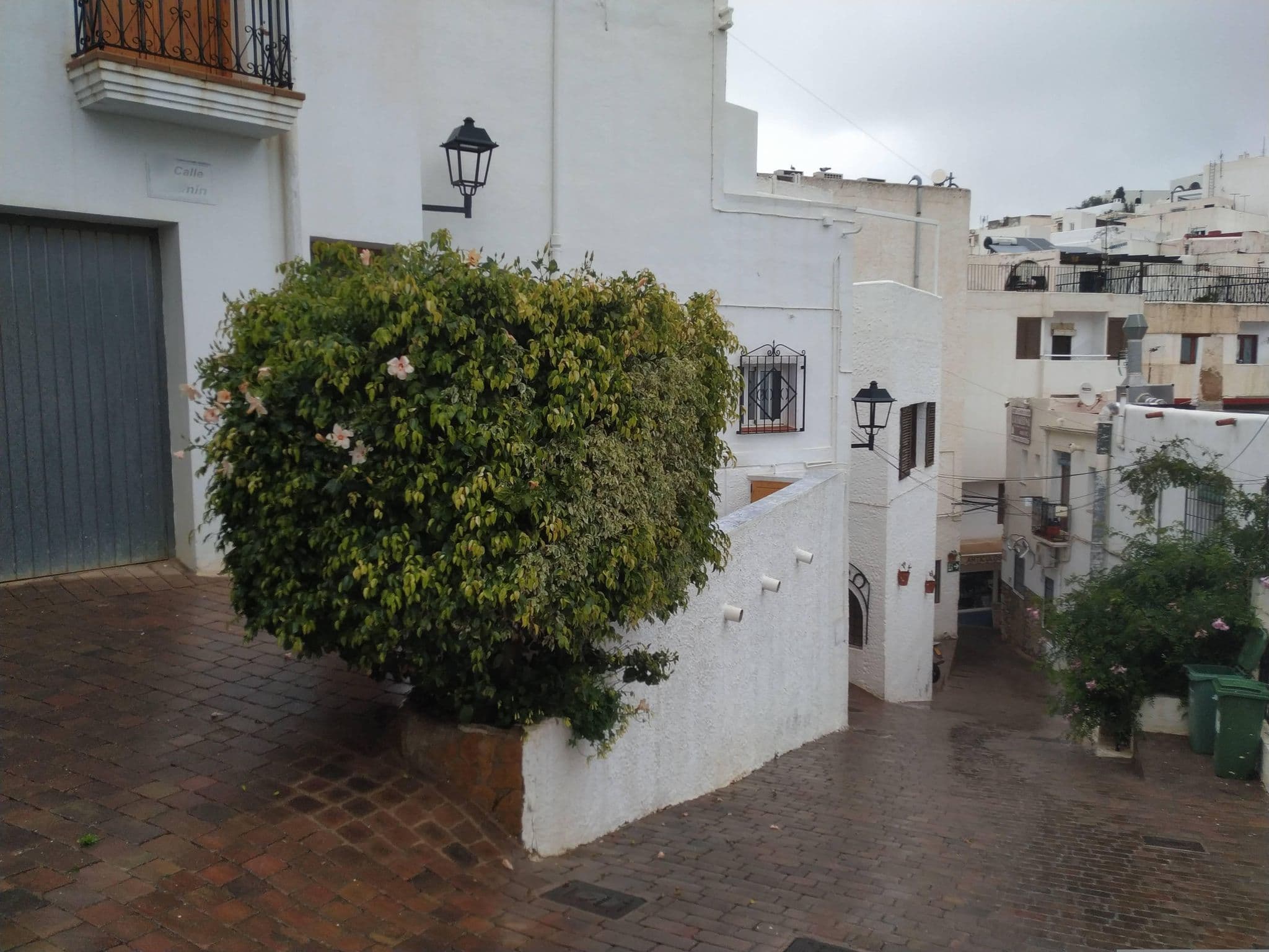 Street view near Pensión el Torreón, Mojacar — © ararruga (CC BY-SA · Mapillary)
