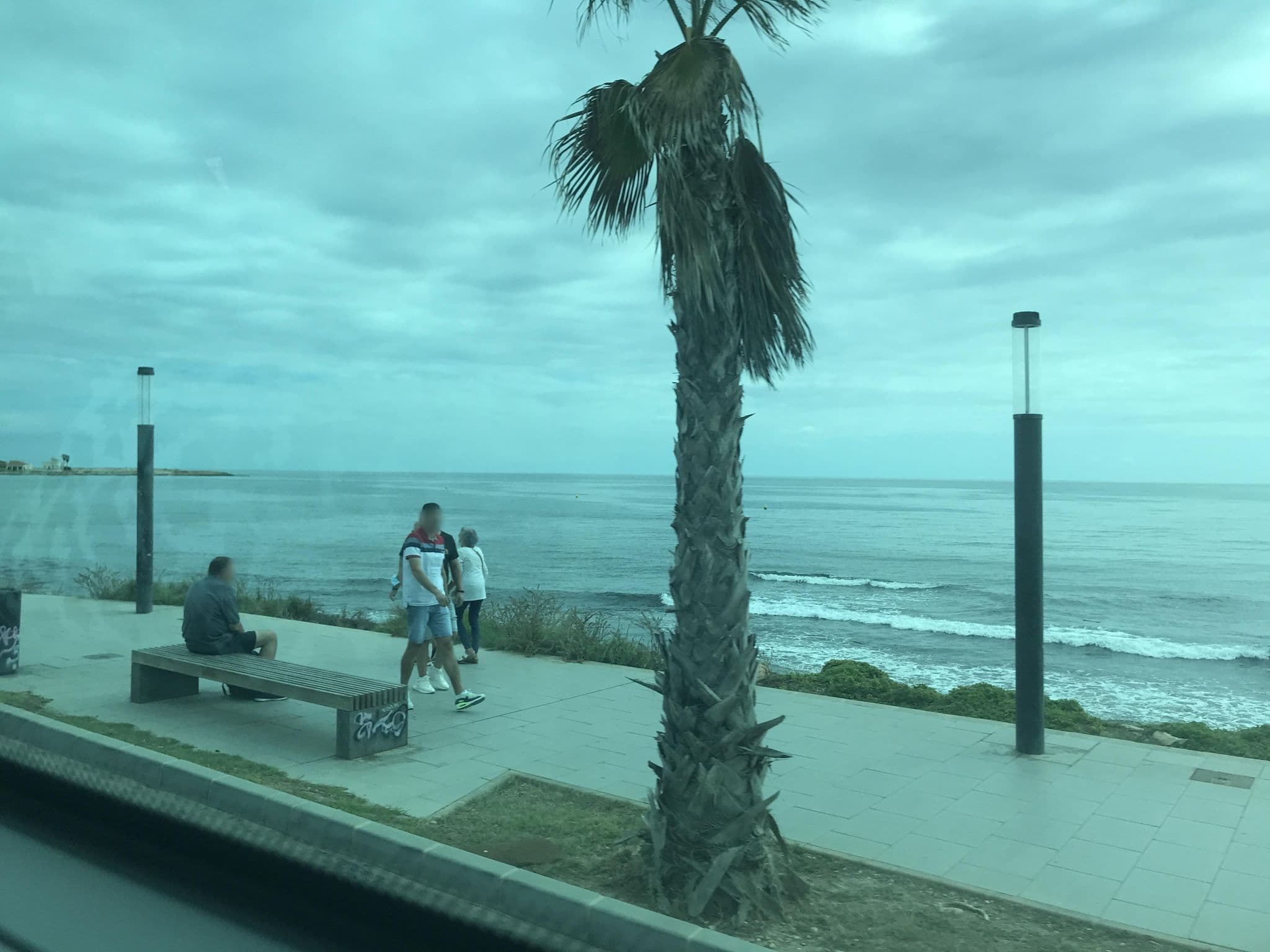 Street view near Globus - Purisima, Torrevieja — © miguel_andrade (CC BY-SA · Mapillary)