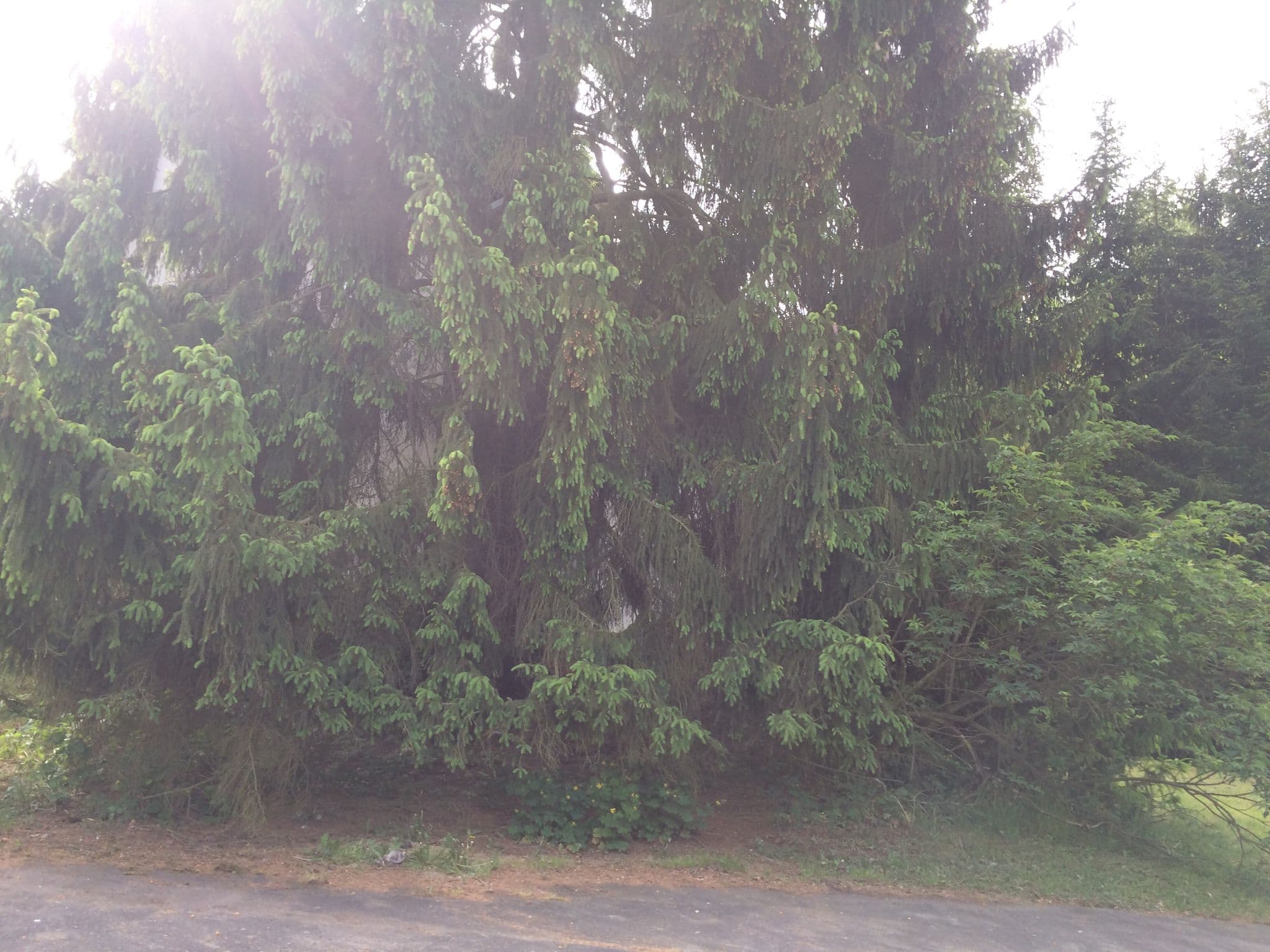 Street view near Rekreační středisko Příhrazské skály, Žďár — © zbycz (CC BY-SA · Mapillary)