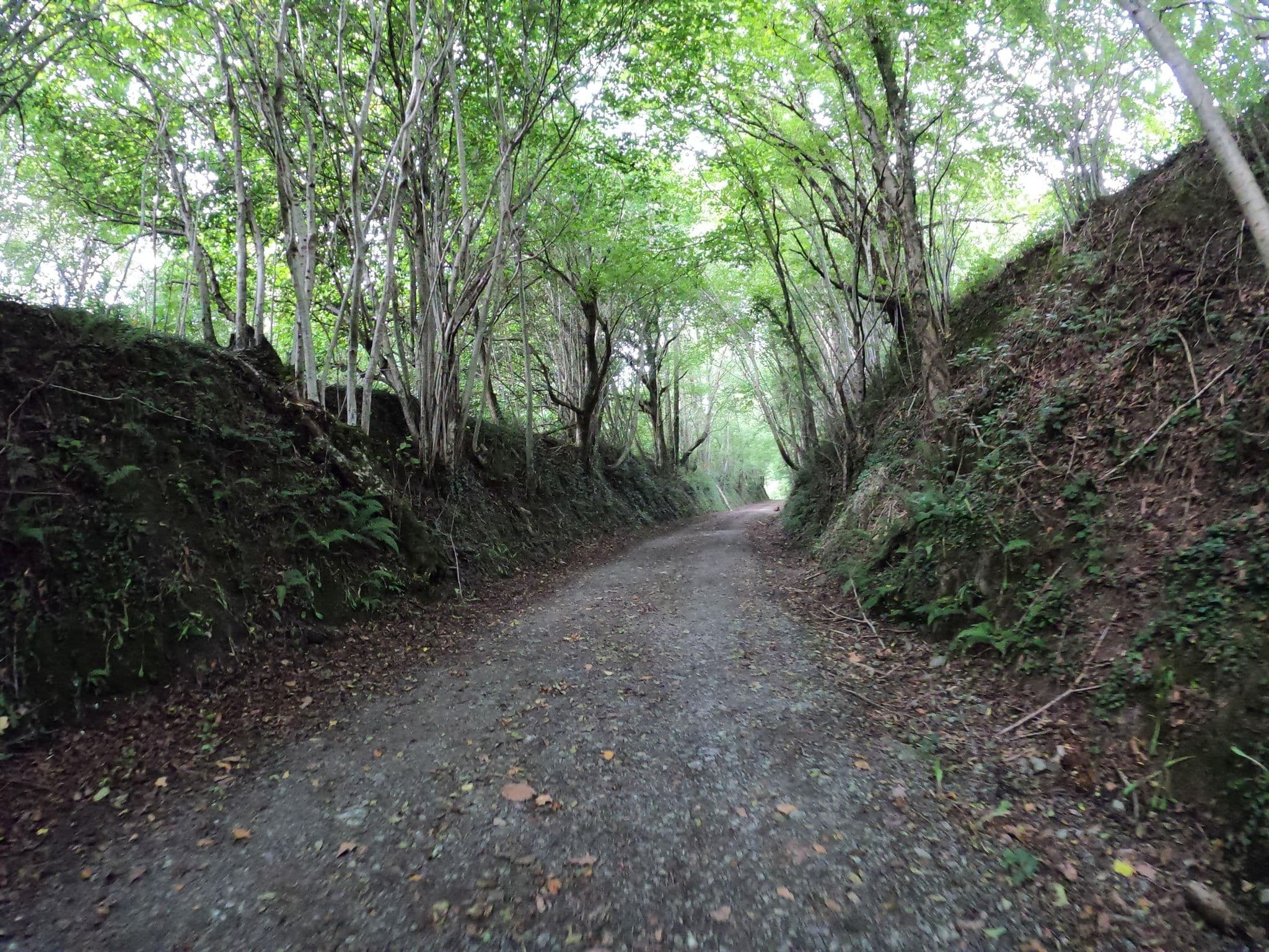 Street view near Barraganea, Echarri-Aranaz — © masterofnoroad (CC BY-SA · Mapillary)