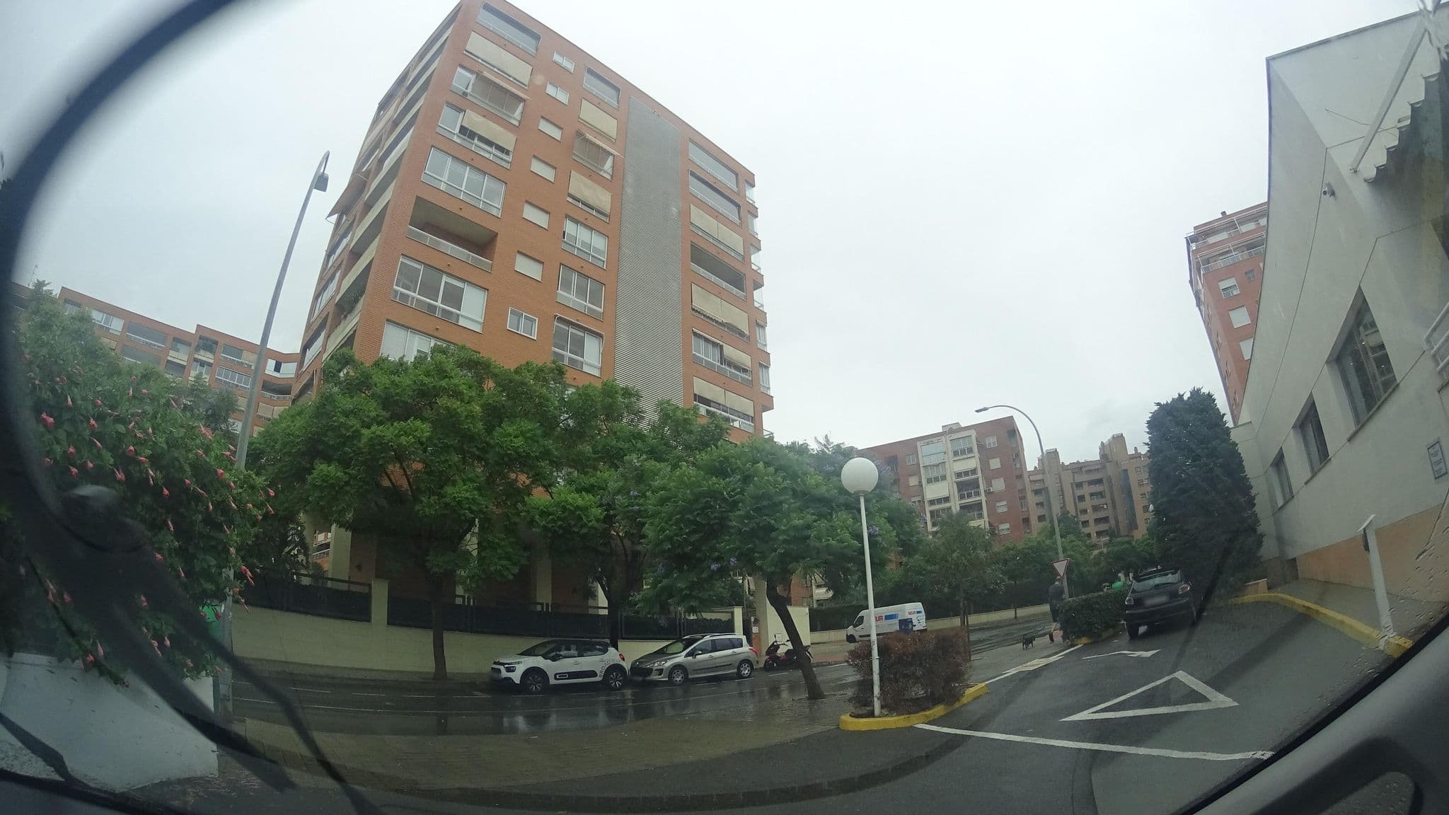 Street view near Hotel Campanile Alicante, Alicante — © robertogeb (CC BY-SA · Mapillary)
