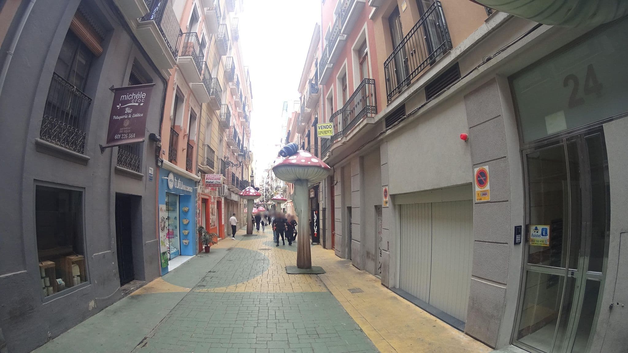 Street view near Prado Sastre, Alicante — © robertogeb (CC BY-SA · Mapillary)