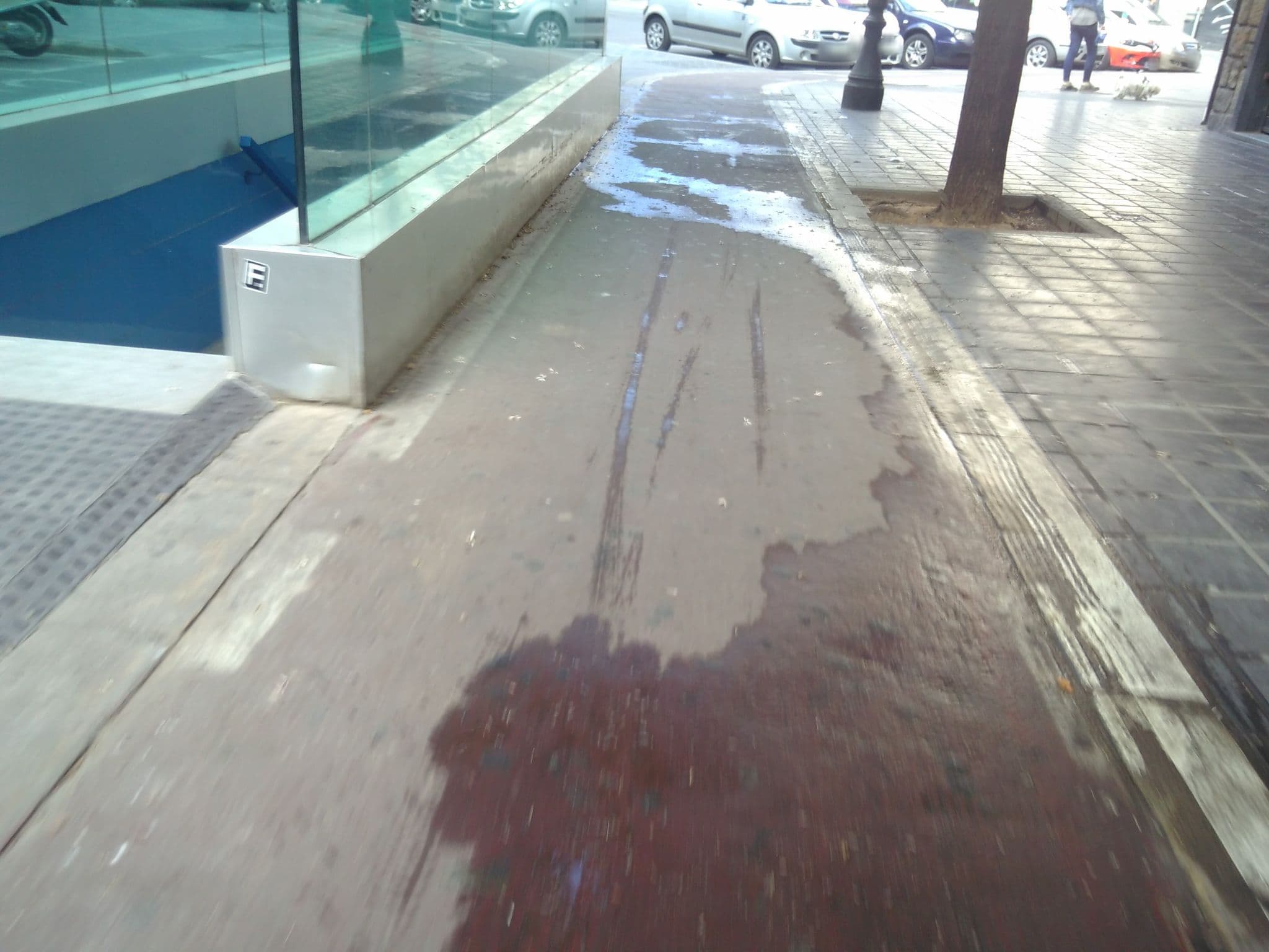 Street view near Hotel Jardin Botanico, Valencia — © neus (CC BY-SA · Mapillary)