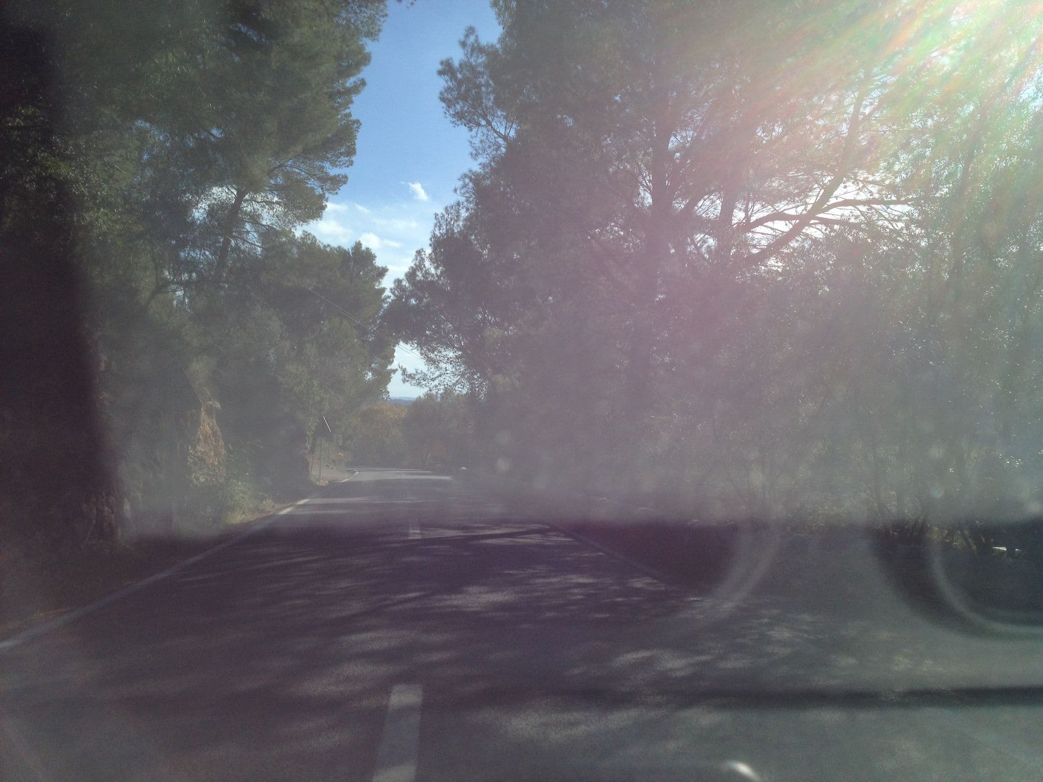 Street view near Sa Rota de Can Casetes, Selva — © elgaard (CC BY-SA · Mapillary)