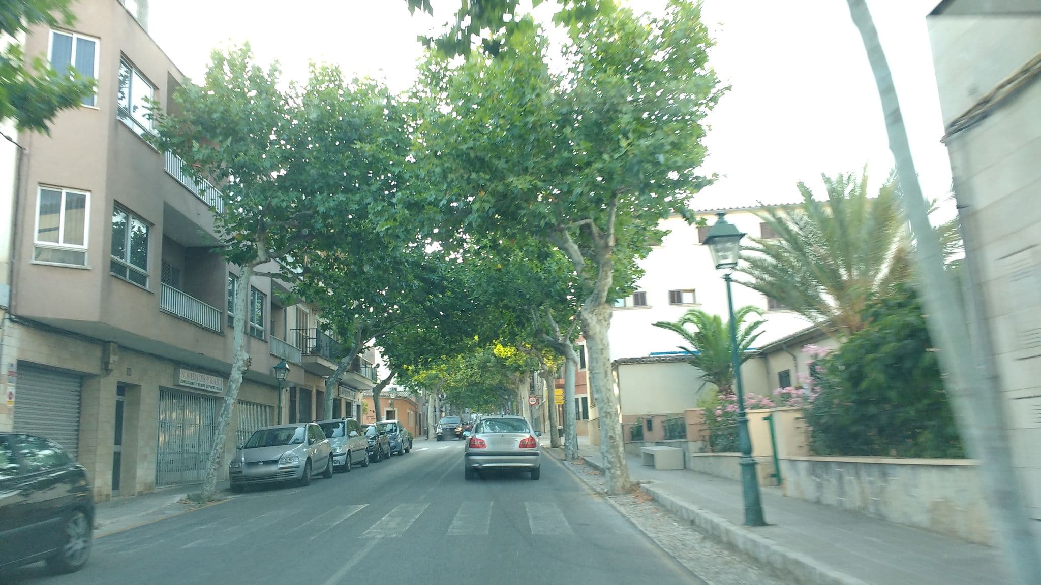 Street view near Agroturismo Son Penyaflor, Alaró — © thetornado76 (CC BY-SA · Mapillary)