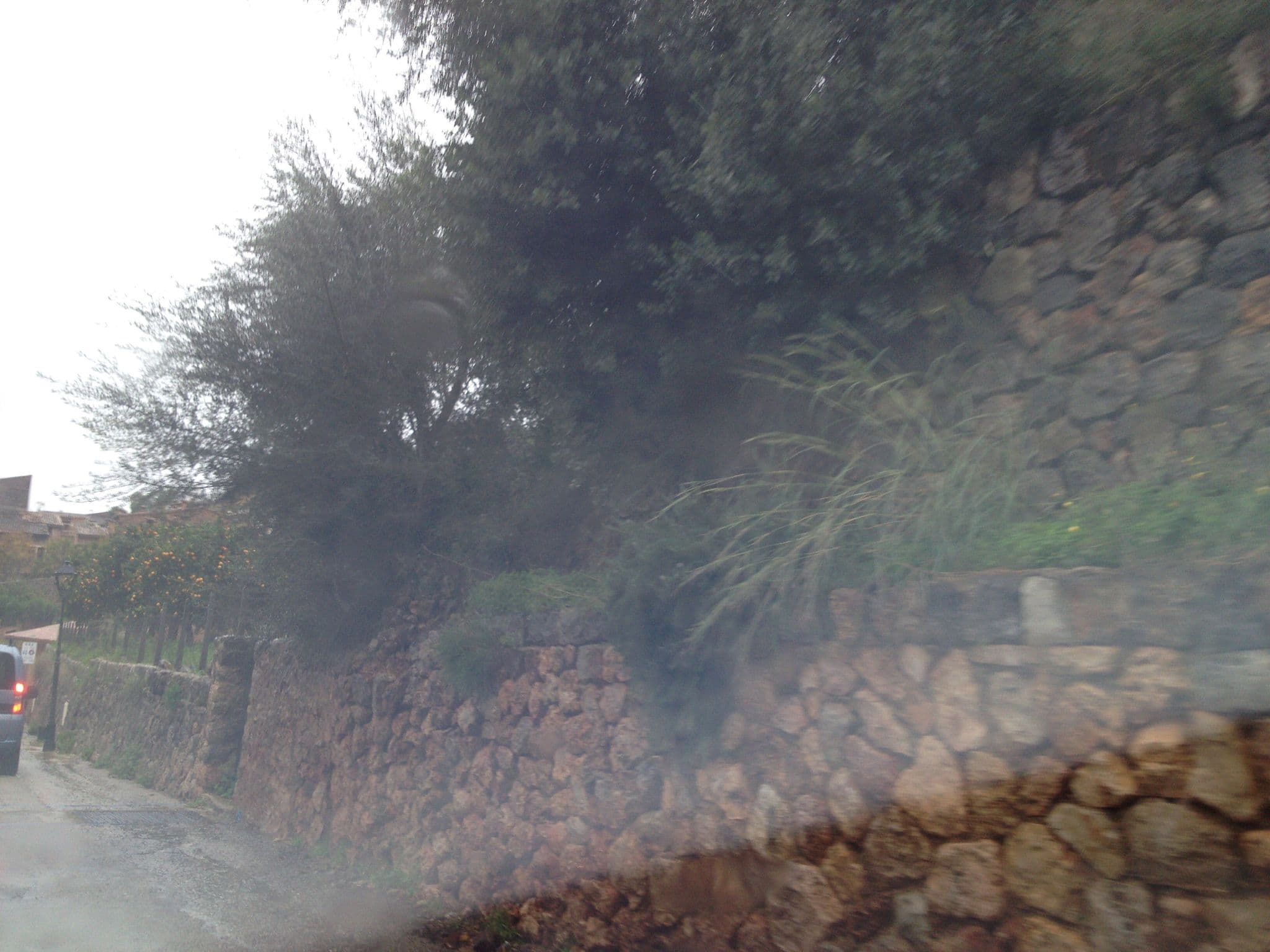 Street view near Ca'n Reus, Sóller — © elgaard (CC BY-SA · Mapillary)