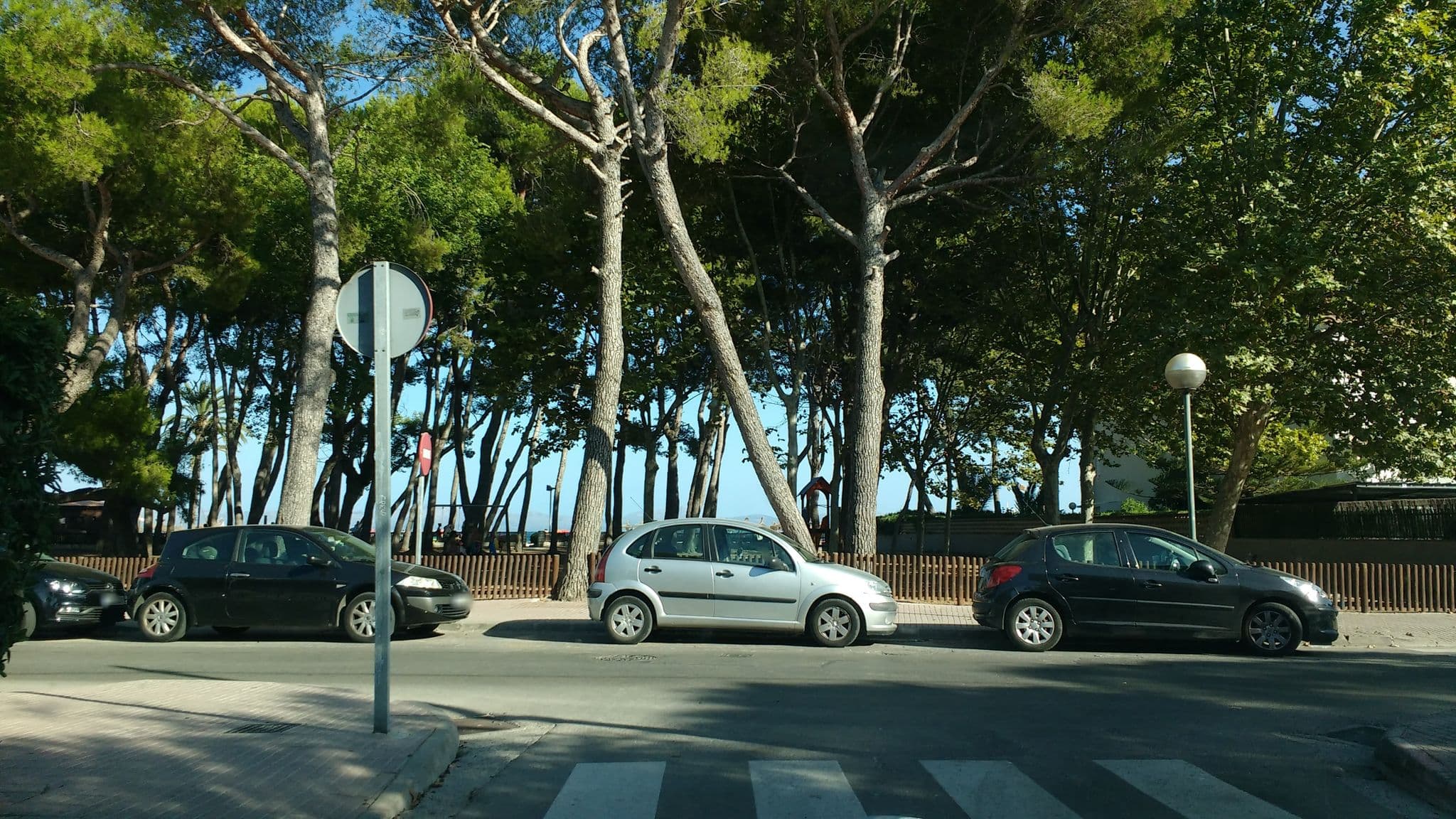 Street view near Hoteles Sunwing, Platja d'Alcúdia — © thetornado76 (CC BY-SA · Mapillary)