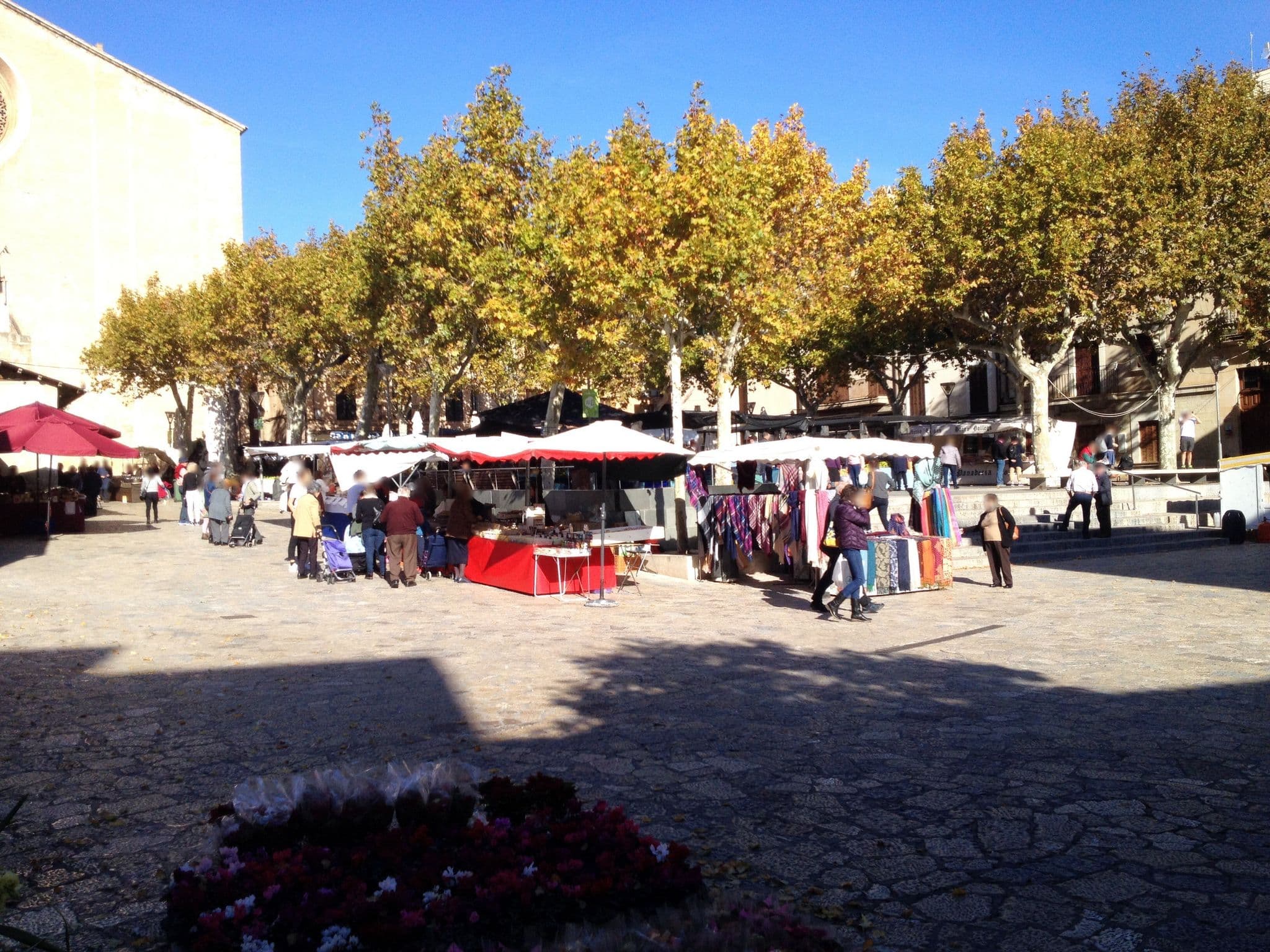 Street view near Hotel Des Brull, Pollença — © elgaard (CC BY-SA · Mapillary)