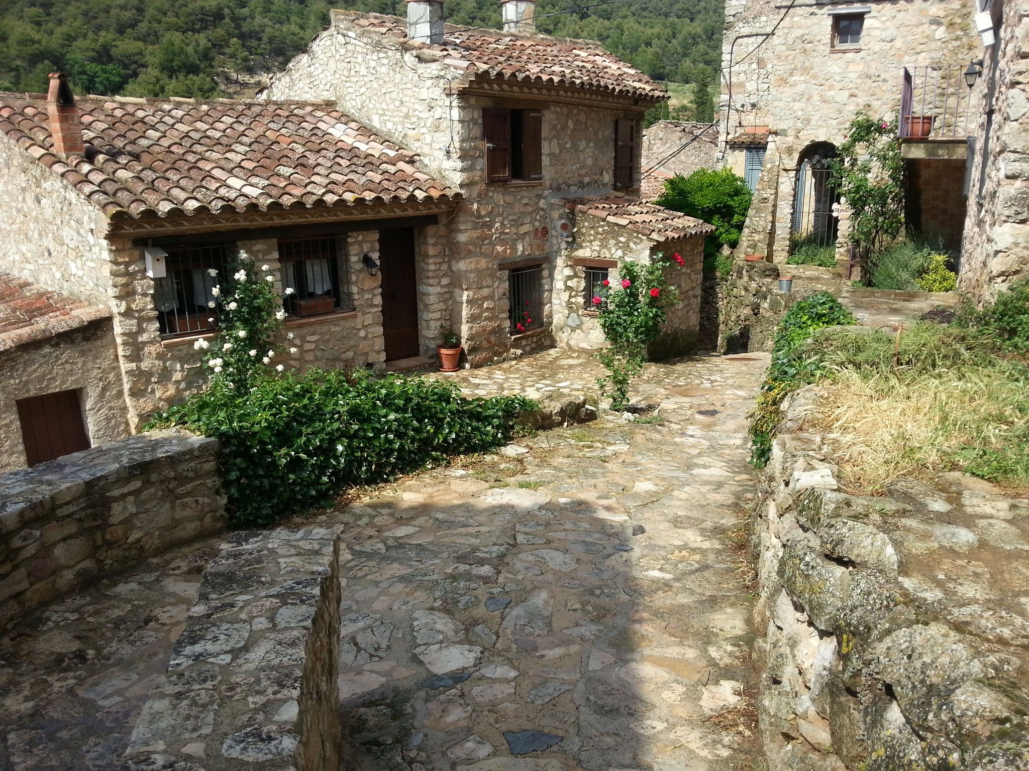 Street view near Mas D'en Toni, Alcover — © paulinus (CC BY-SA · Mapillary)