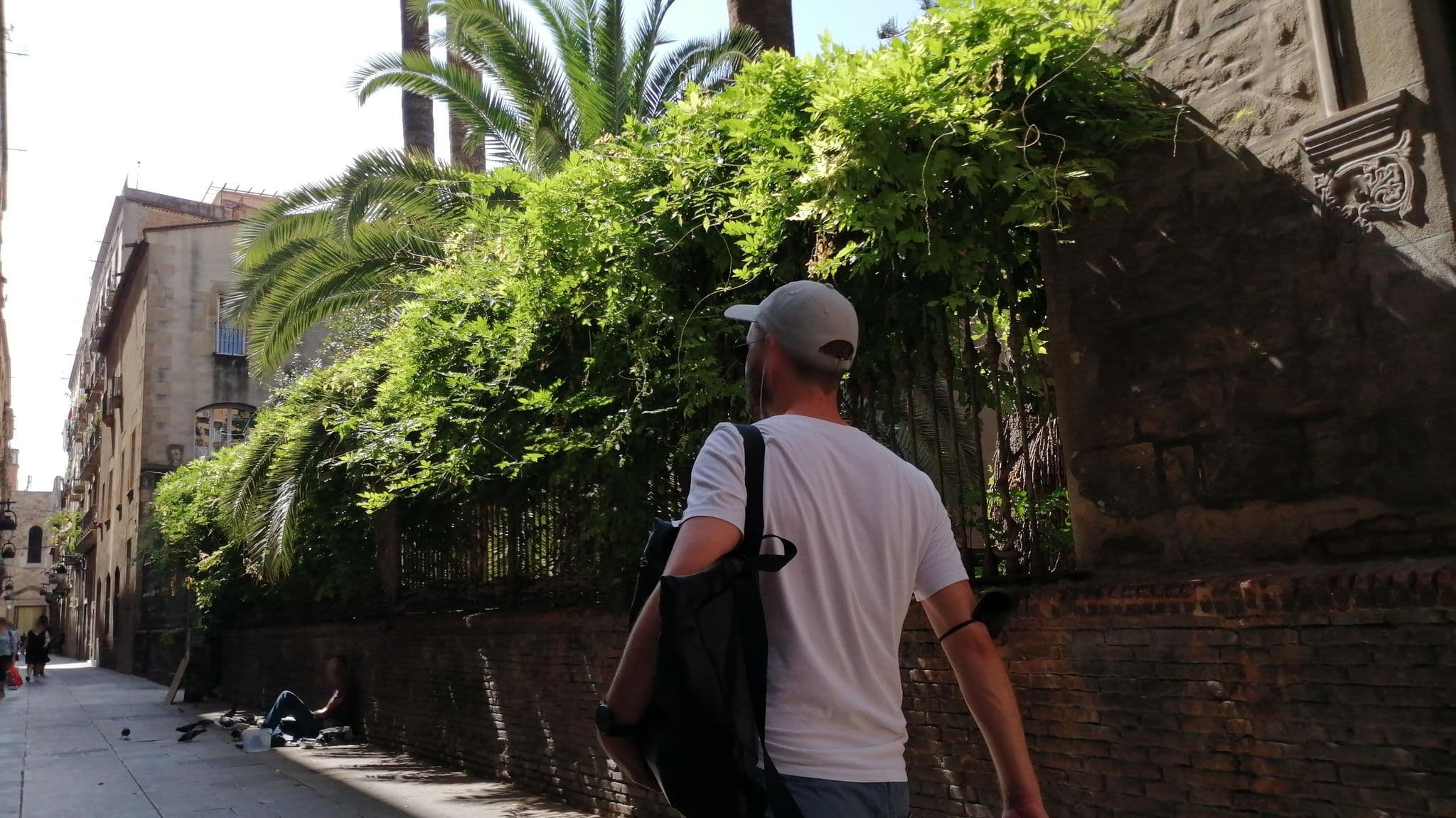 Street view near Terraza Camper, el Raval — © alememex (CC BY-SA · Mapillary)