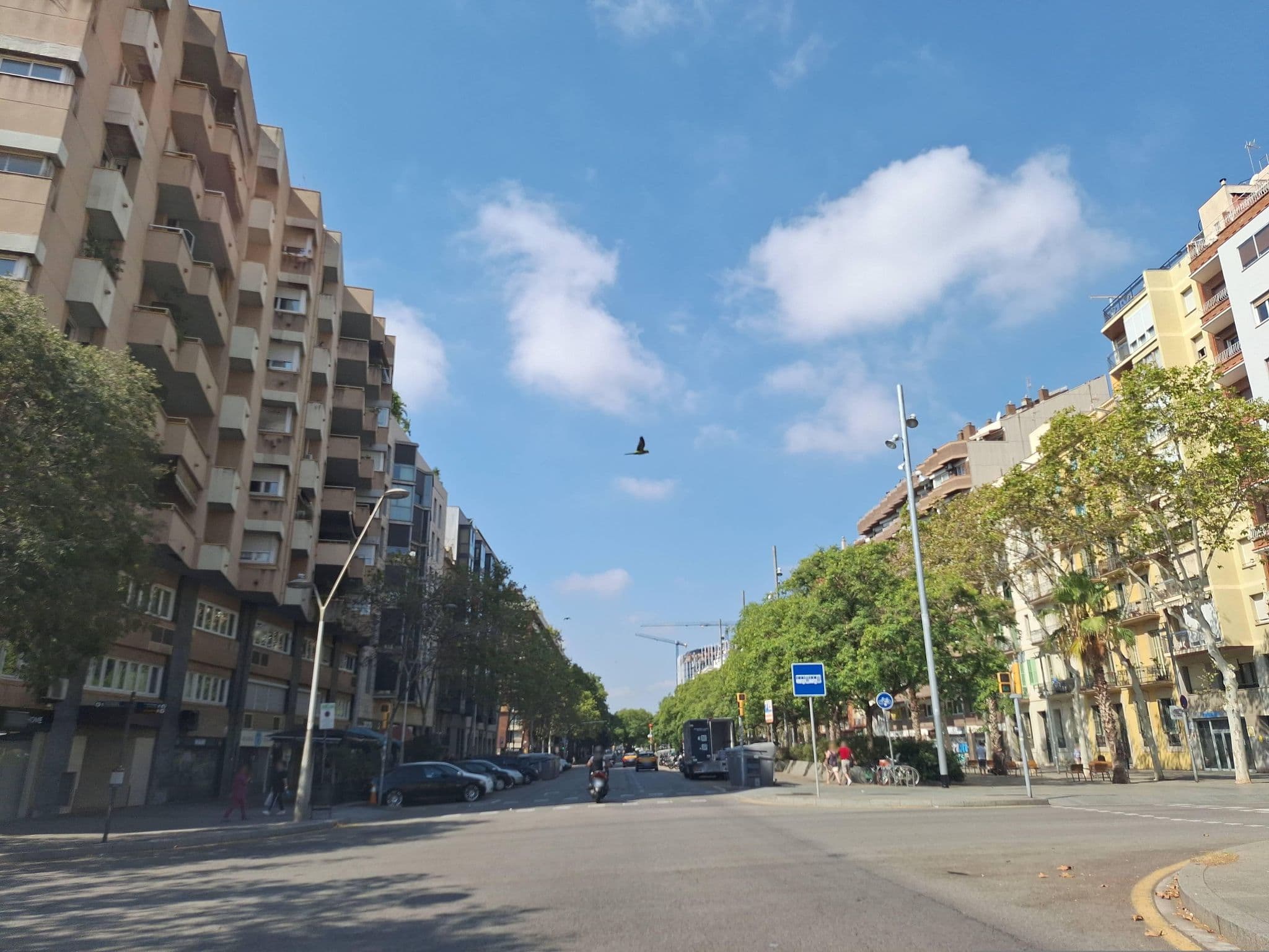 Street view near Alexander AirBNB, l'Antiga Esquerra de l'Eixample — © Albergarri788 (CC BY-SA · Mapillary)
