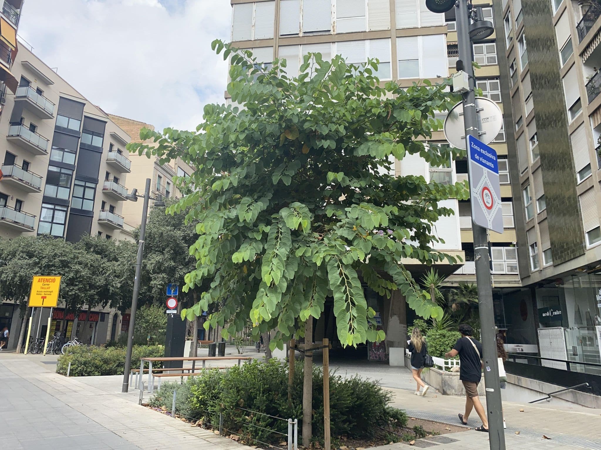 Street view near Barcelona Downtown Resort 5* ®, la Nova Esquerra de l'Eixample — © cyclestreets (CC BY-SA · Mapillary)