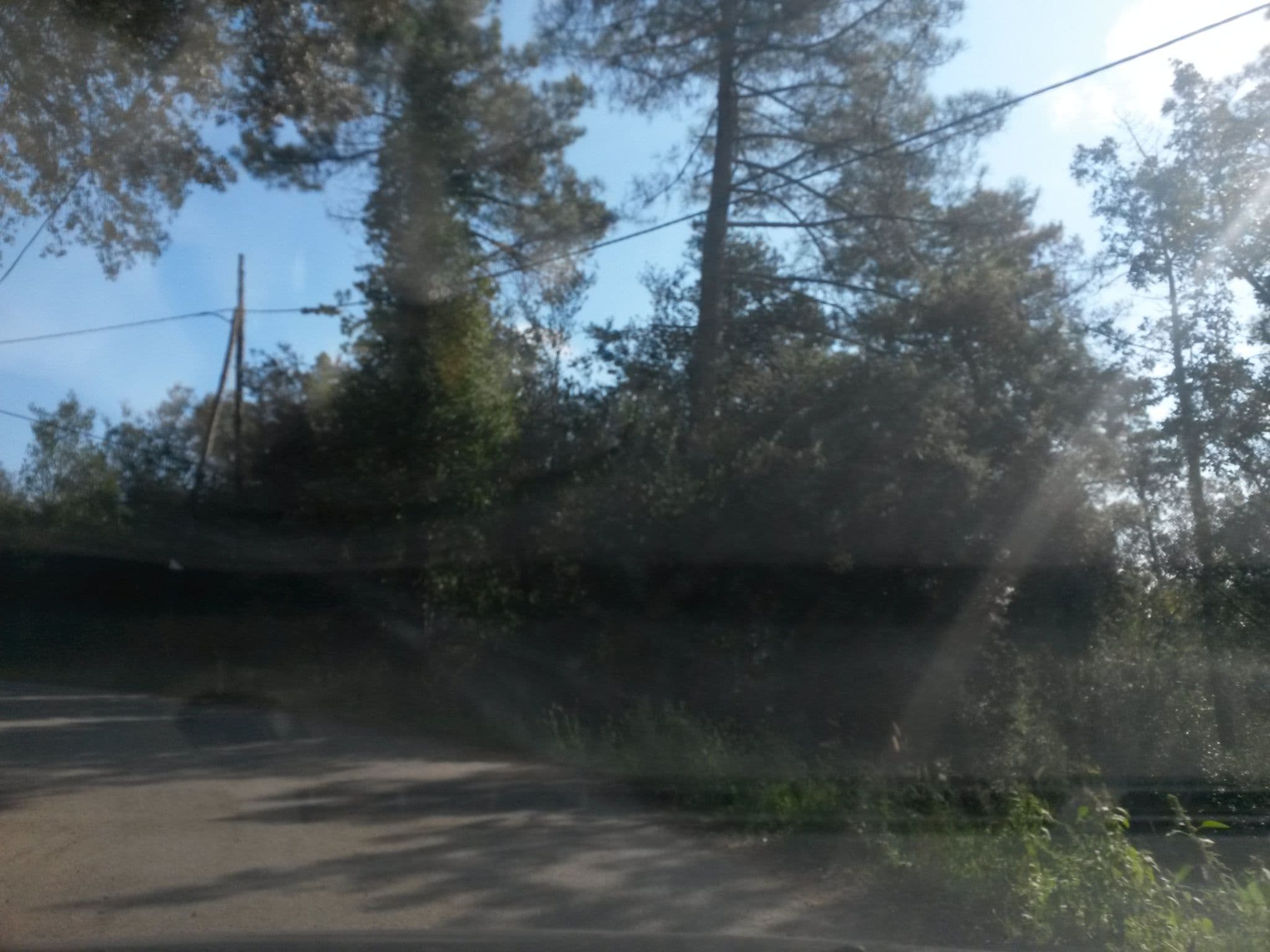 Street view near Mas Roca, Bescanó — © xevi (CC BY-SA · Mapillary)