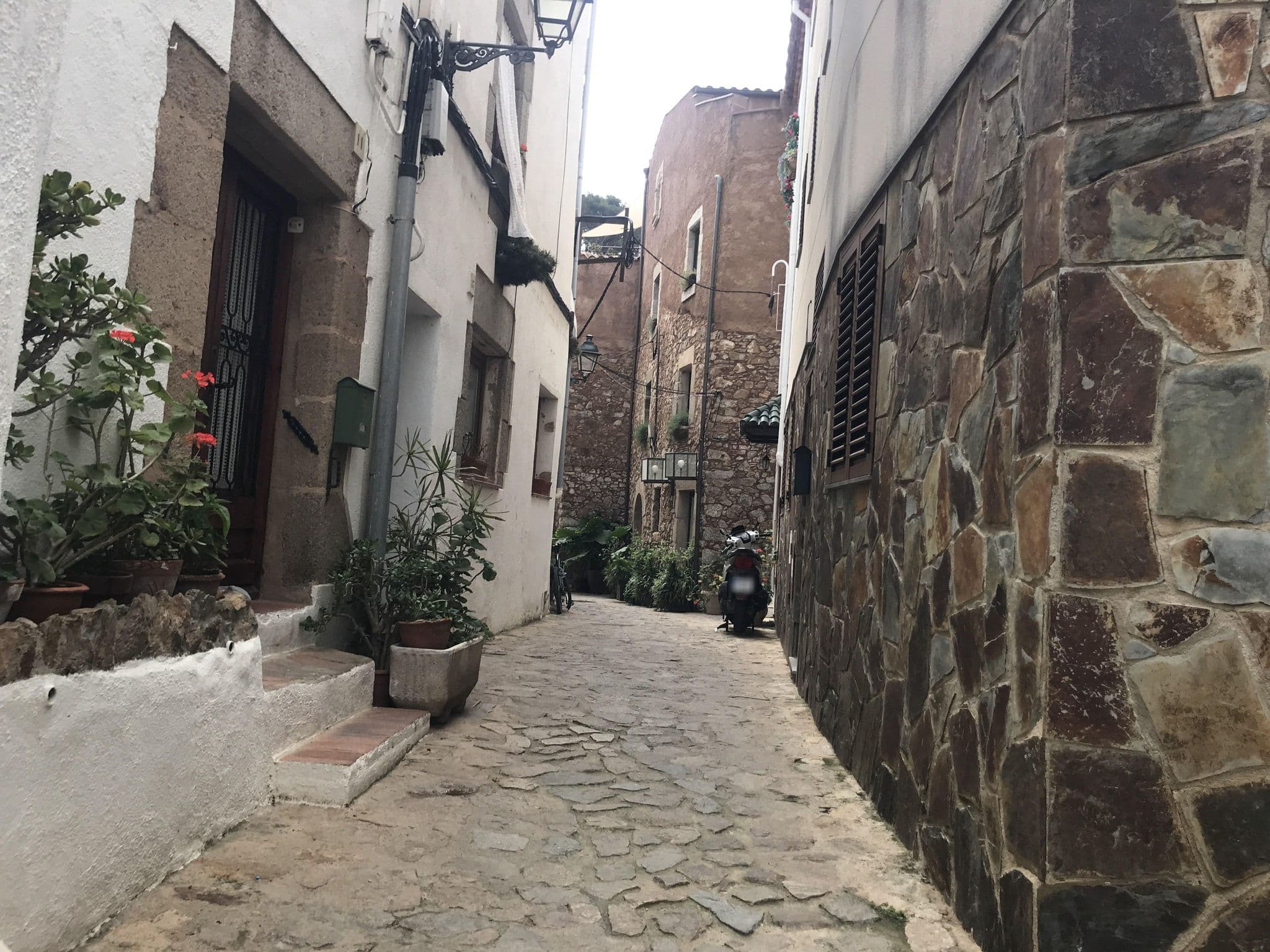 Street view near Fonda Codolar, Tossa de Mar — © miguel_andrade (CC BY-SA · Mapillary)