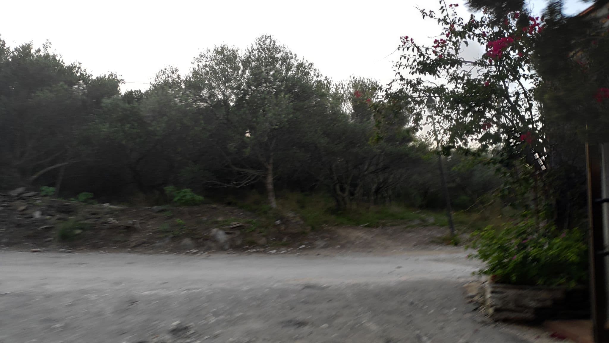 Street view near Hotel Port Ligat, Cadaqués — © yod4z (CC BY-SA · Mapillary)