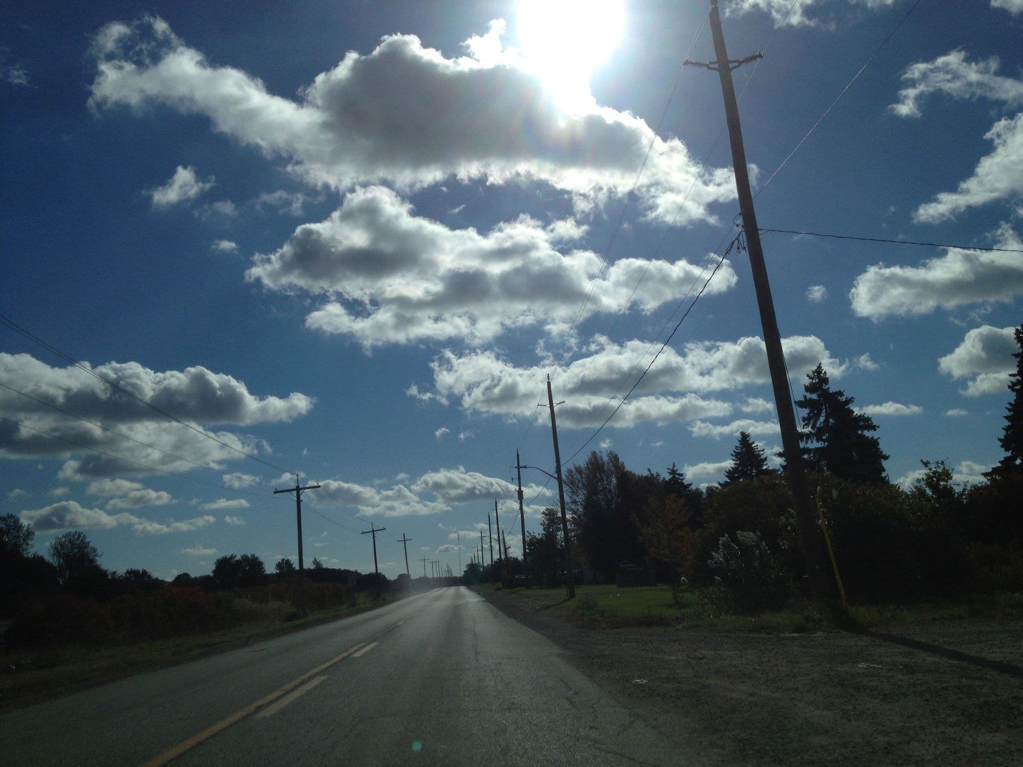 Street view near Pelee Getaway Bed & Breakfast, Leamington — © elgaard (CC BY-SA · Mapillary)