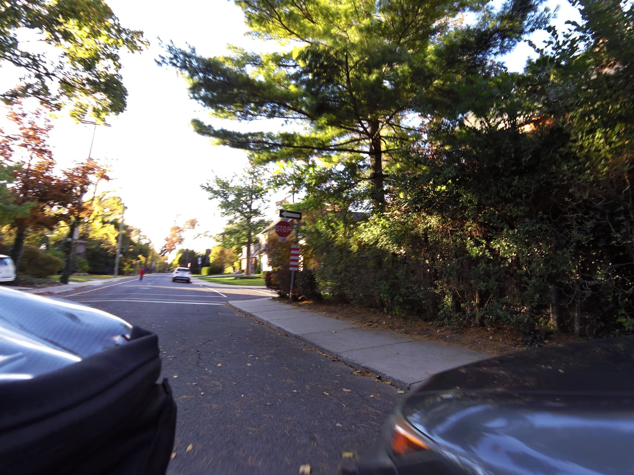 Street view near Rutherford House Bed and Breakfast, Hamilton — © kevo (CC BY-SA · Mapillary)