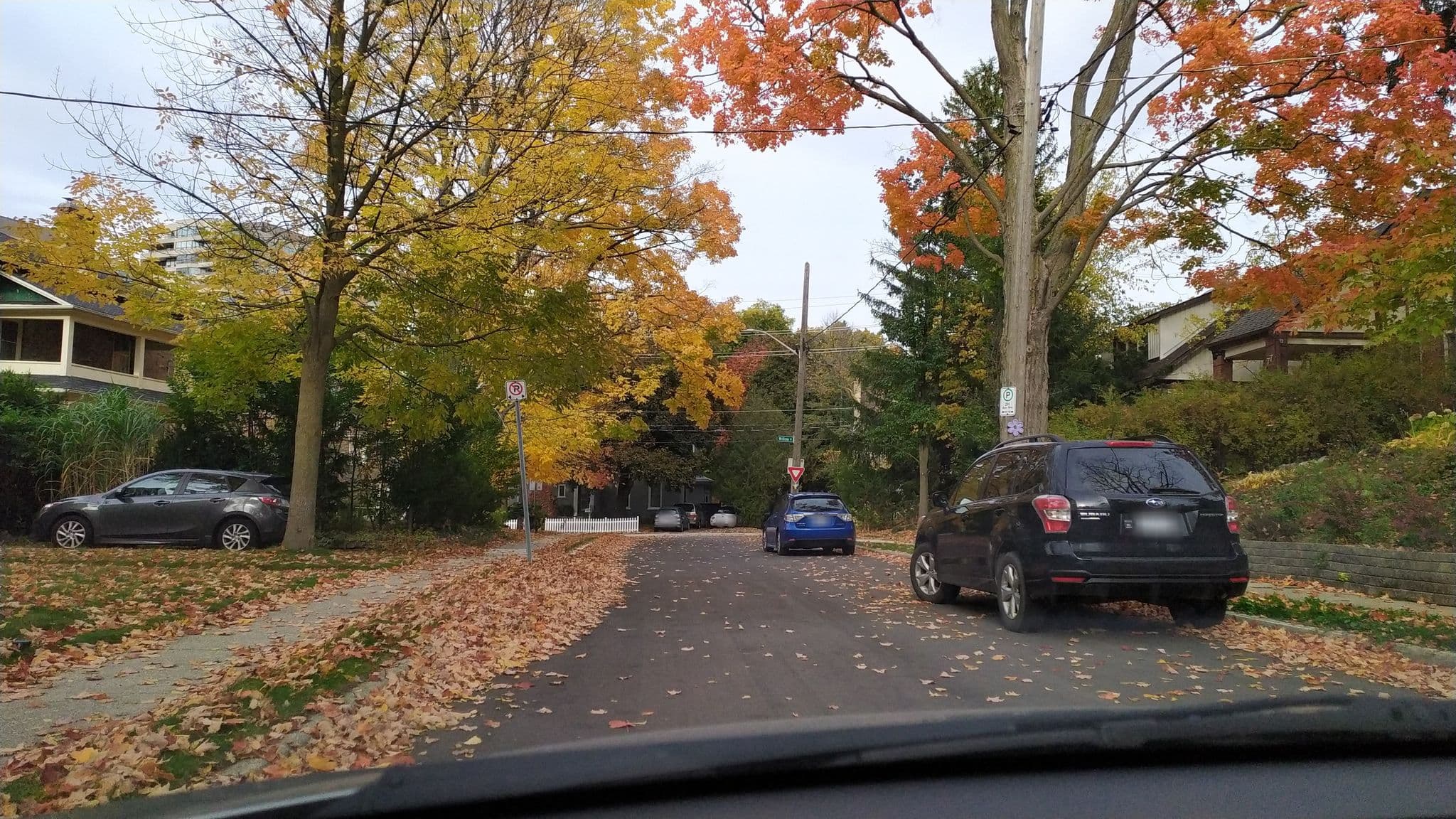 Street view near Hillcrest Haus, Waterloo — © sun00 (CC BY-SA · Mapillary)