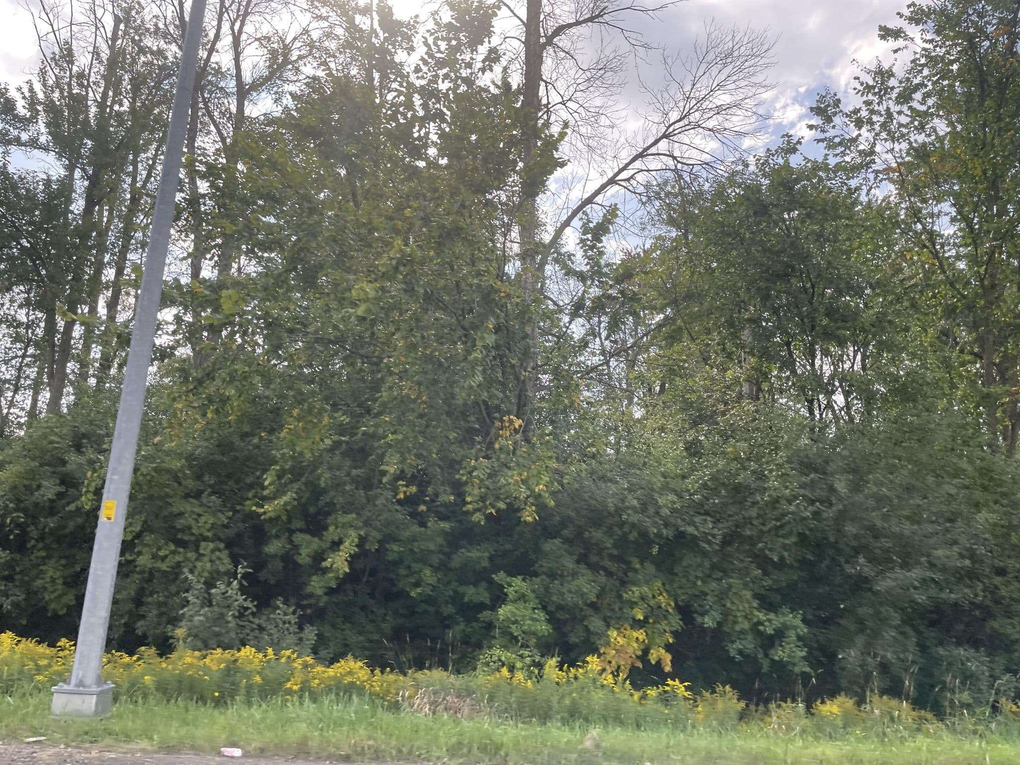 Street view near Hamptom Hotel, Guelph — © privateacorn (CC BY-SA · Mapillary)